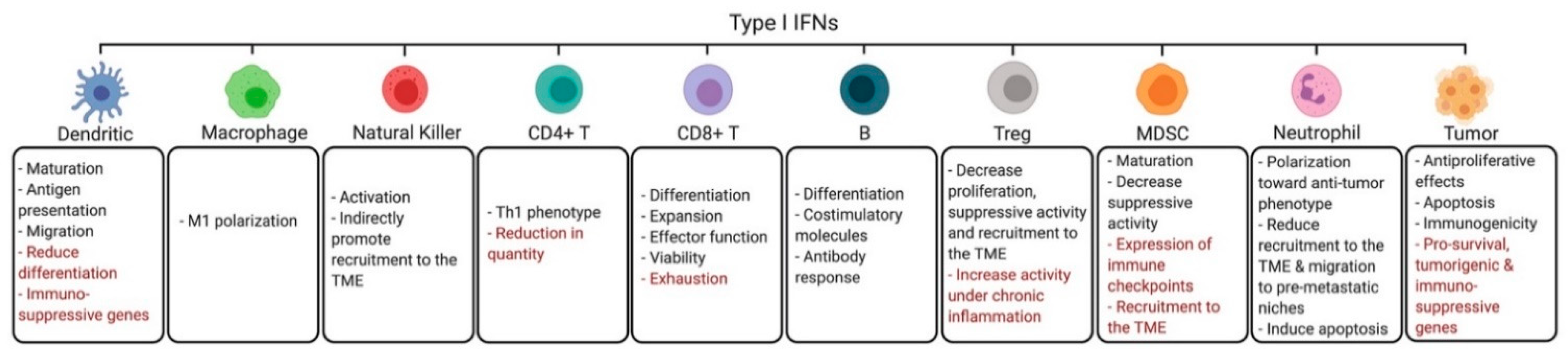 Cancers 13 01037 g001