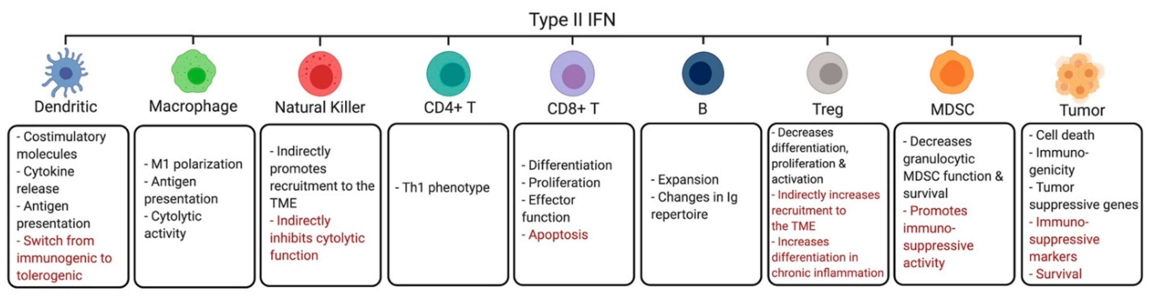 Cancers 13 01037 g002