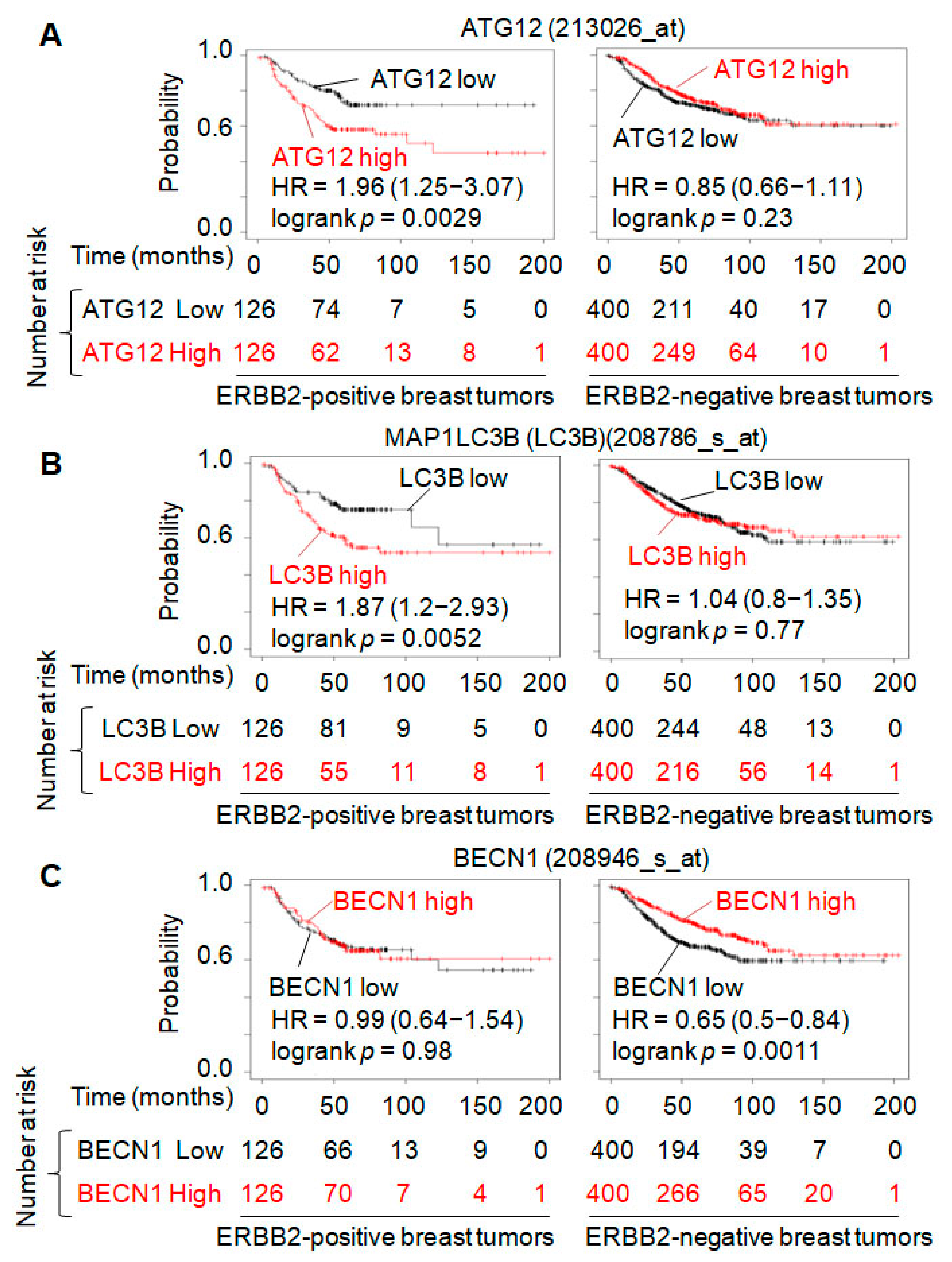 Cancers 13 01038 g005