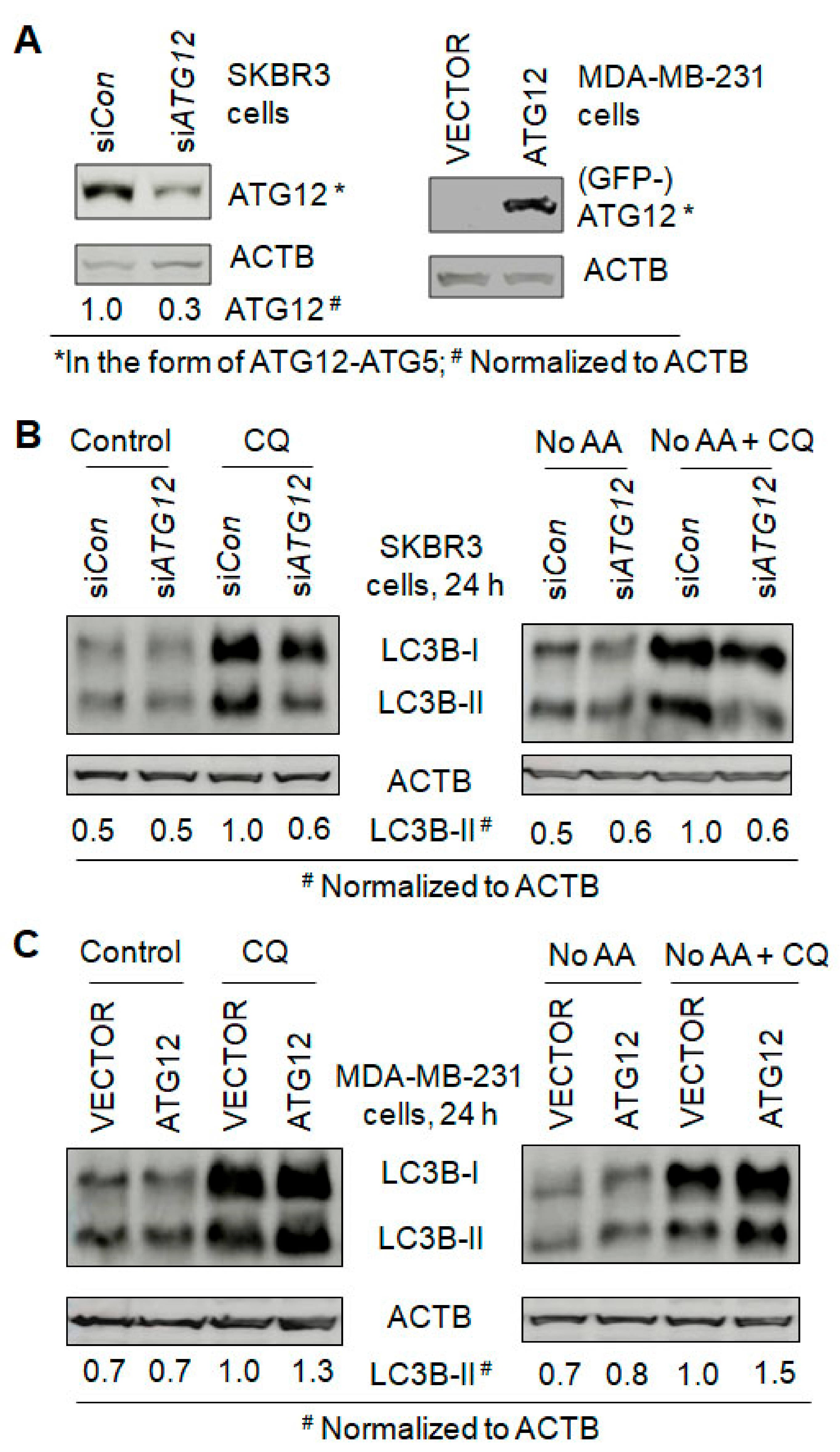 Cancers 13 01038 g006