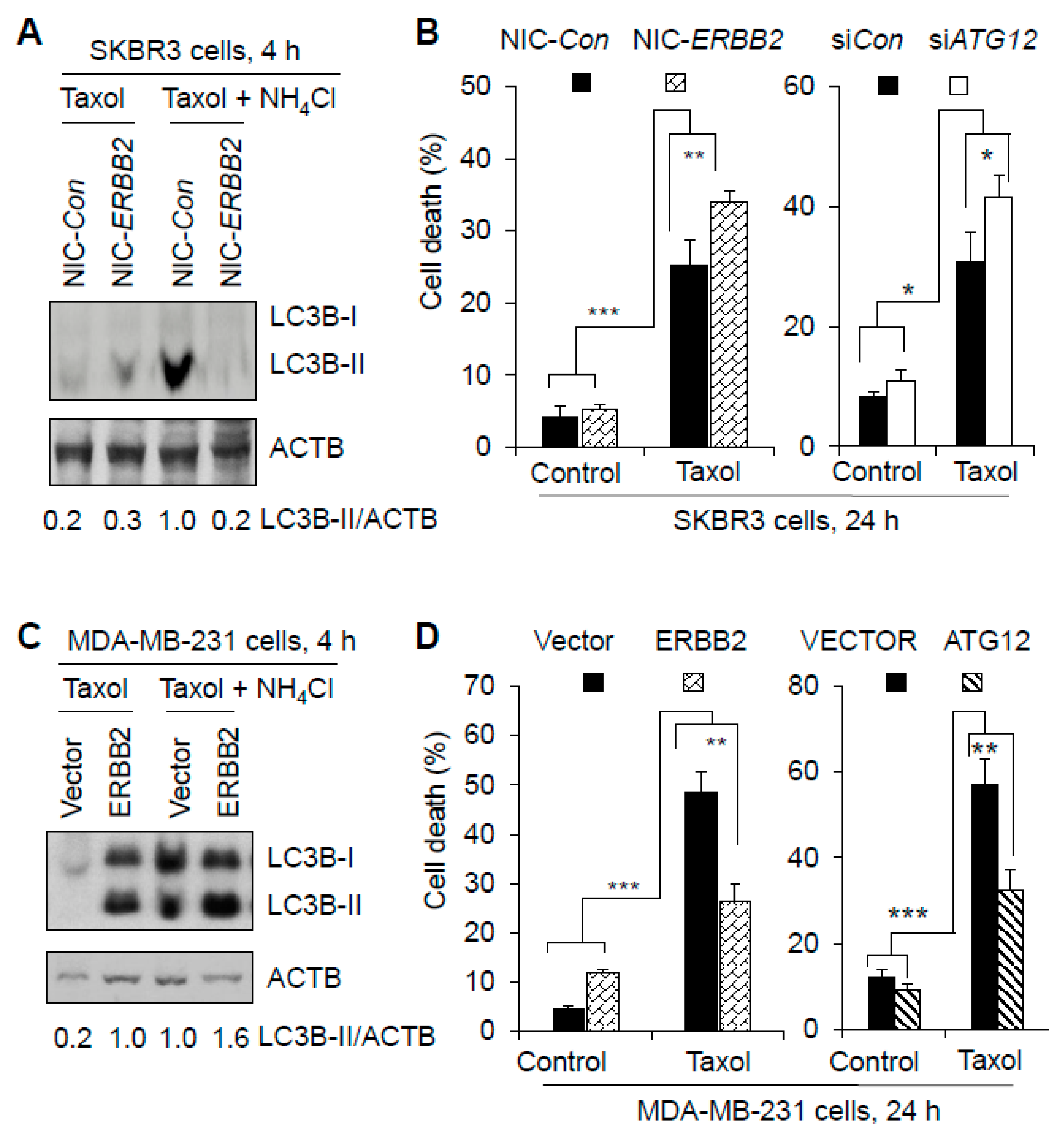 Cancers 13 01038 g007