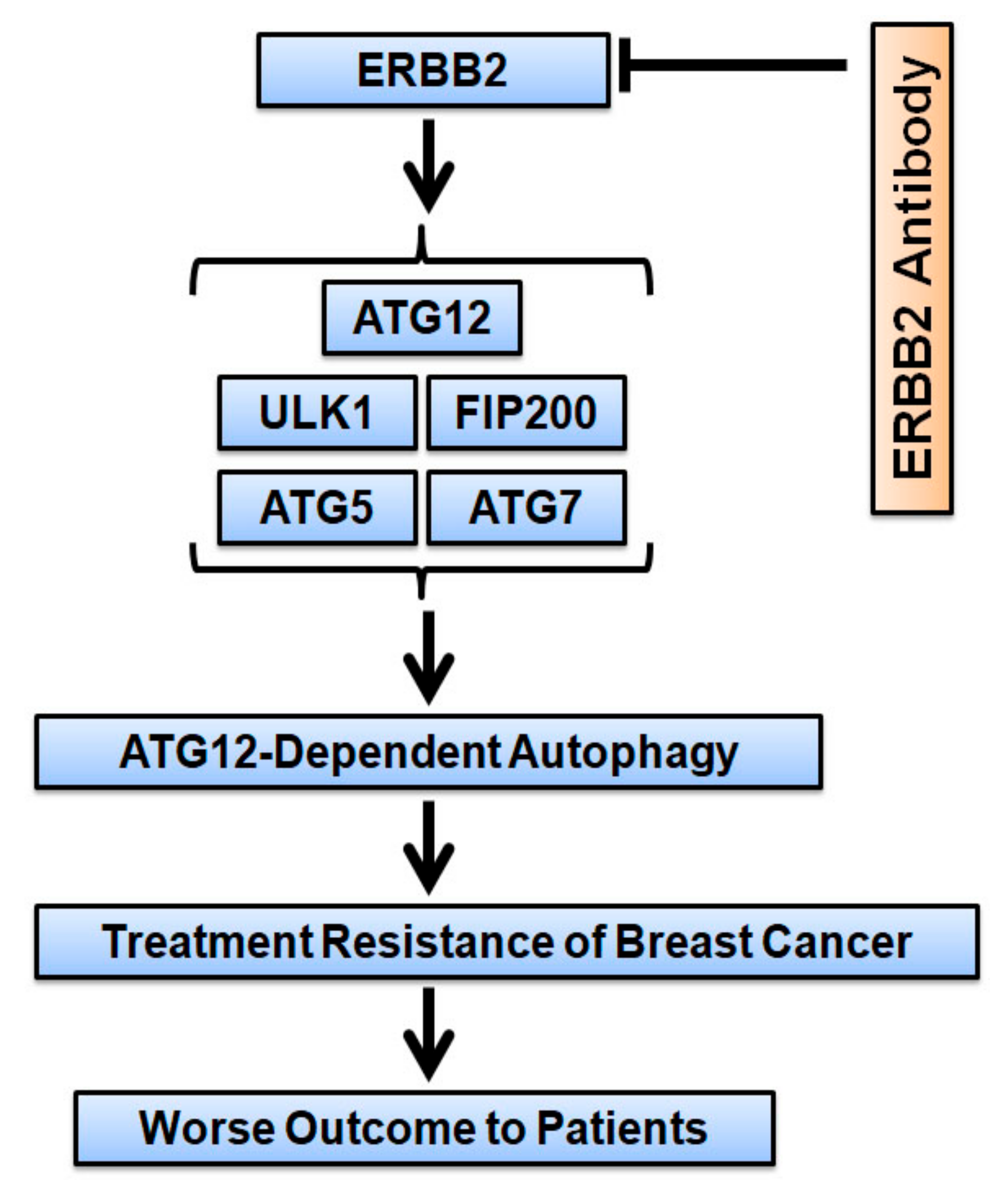 Cancers 13 01038 g009
