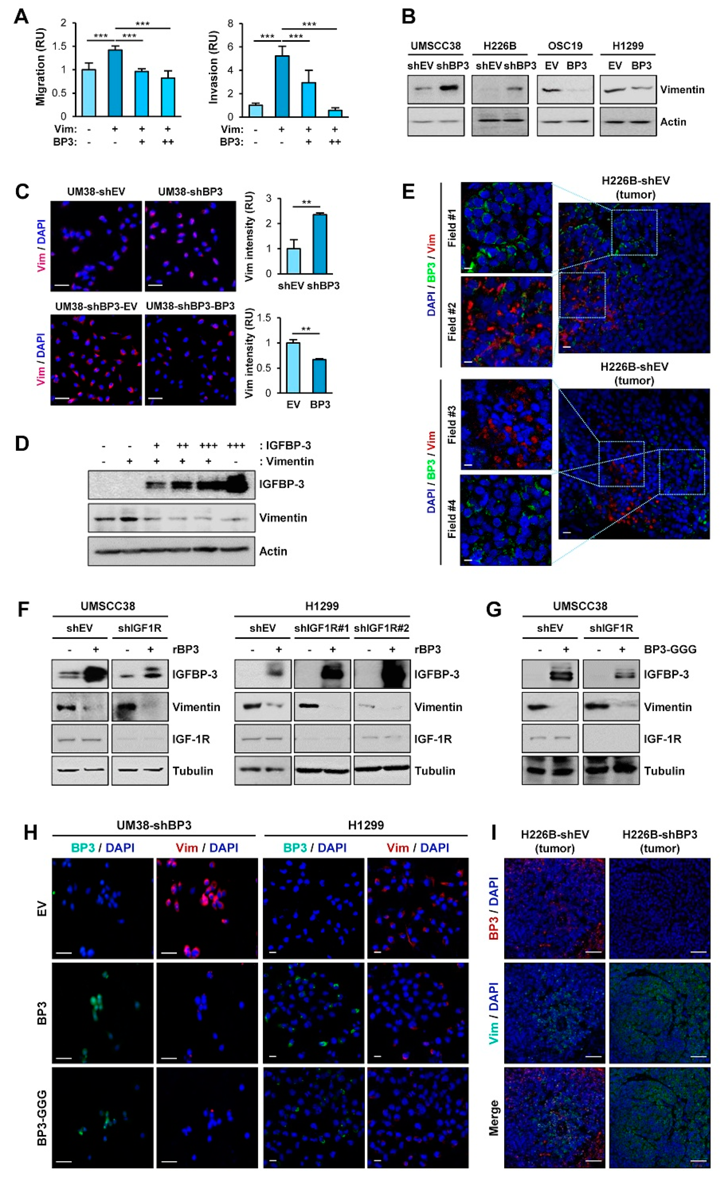 Cancers 13 01041 g003