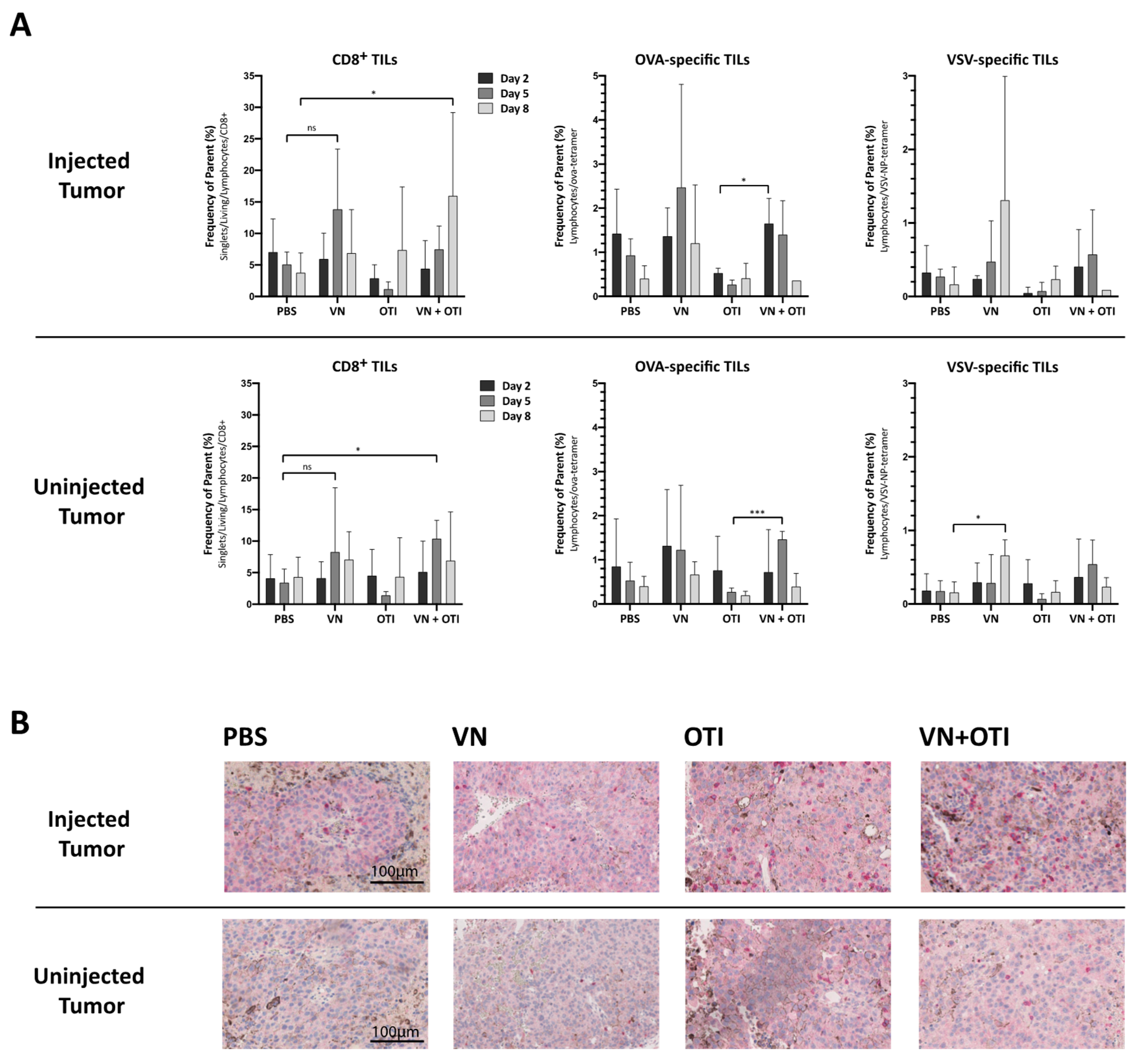 Cancers 13 01044 g004