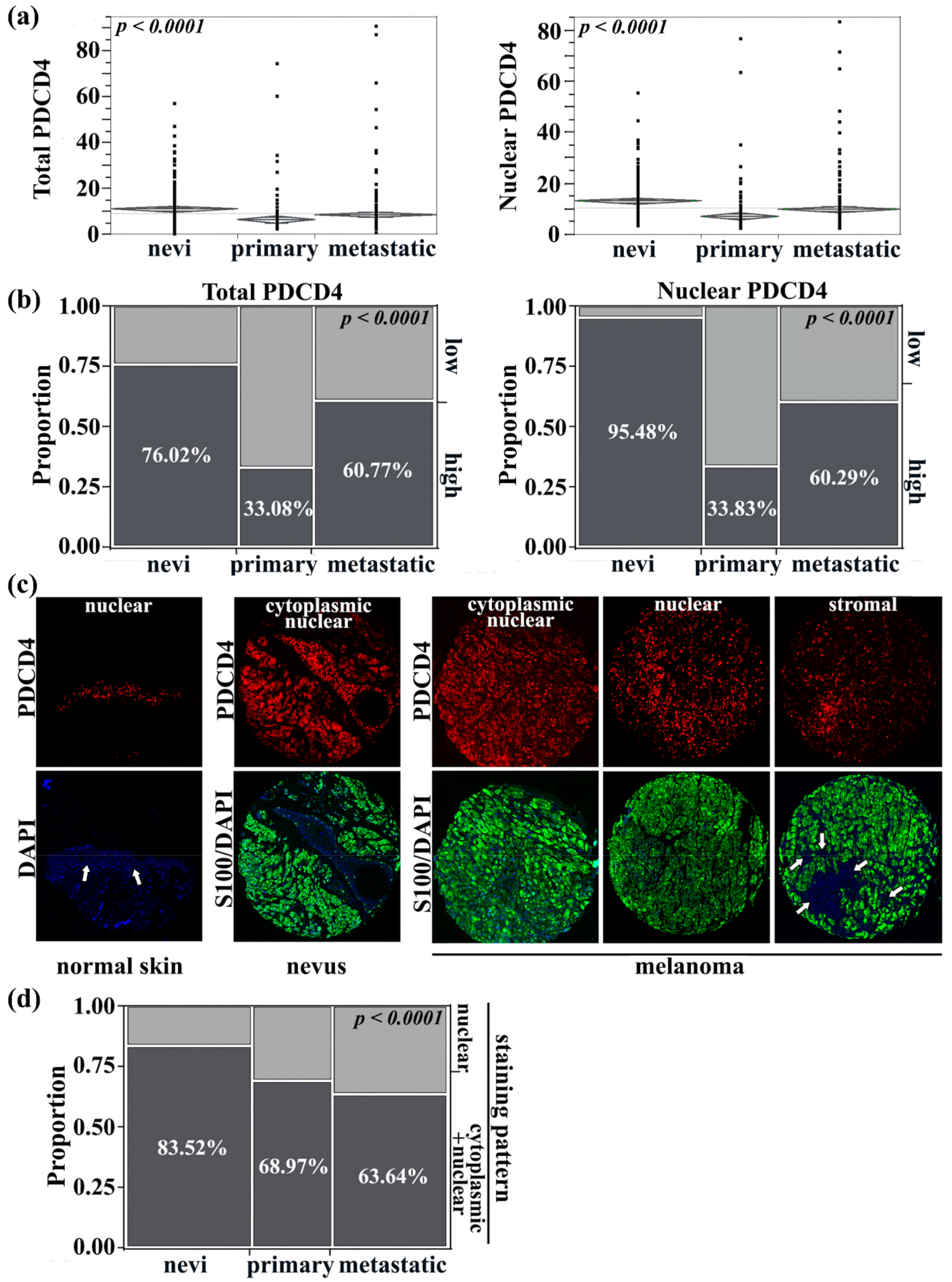 Cancers 13 01049 g001