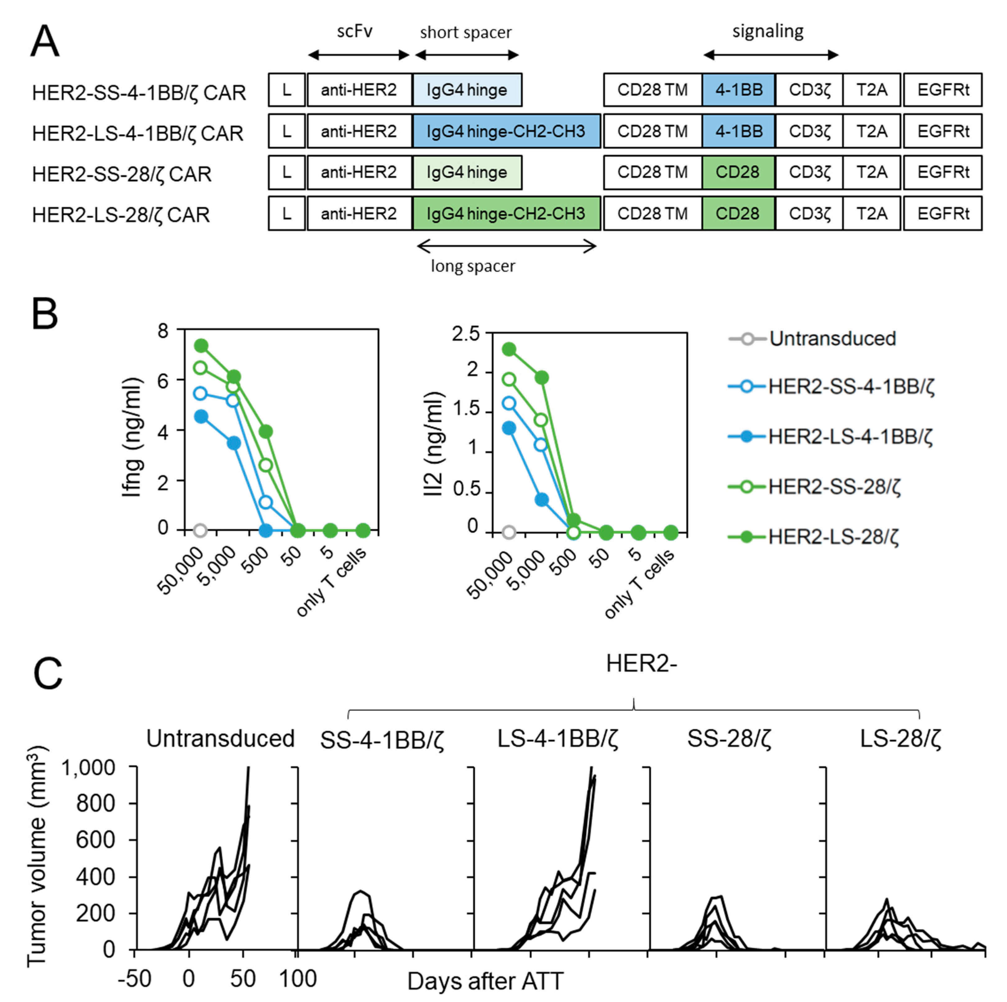 Cancers 13 01050 g004