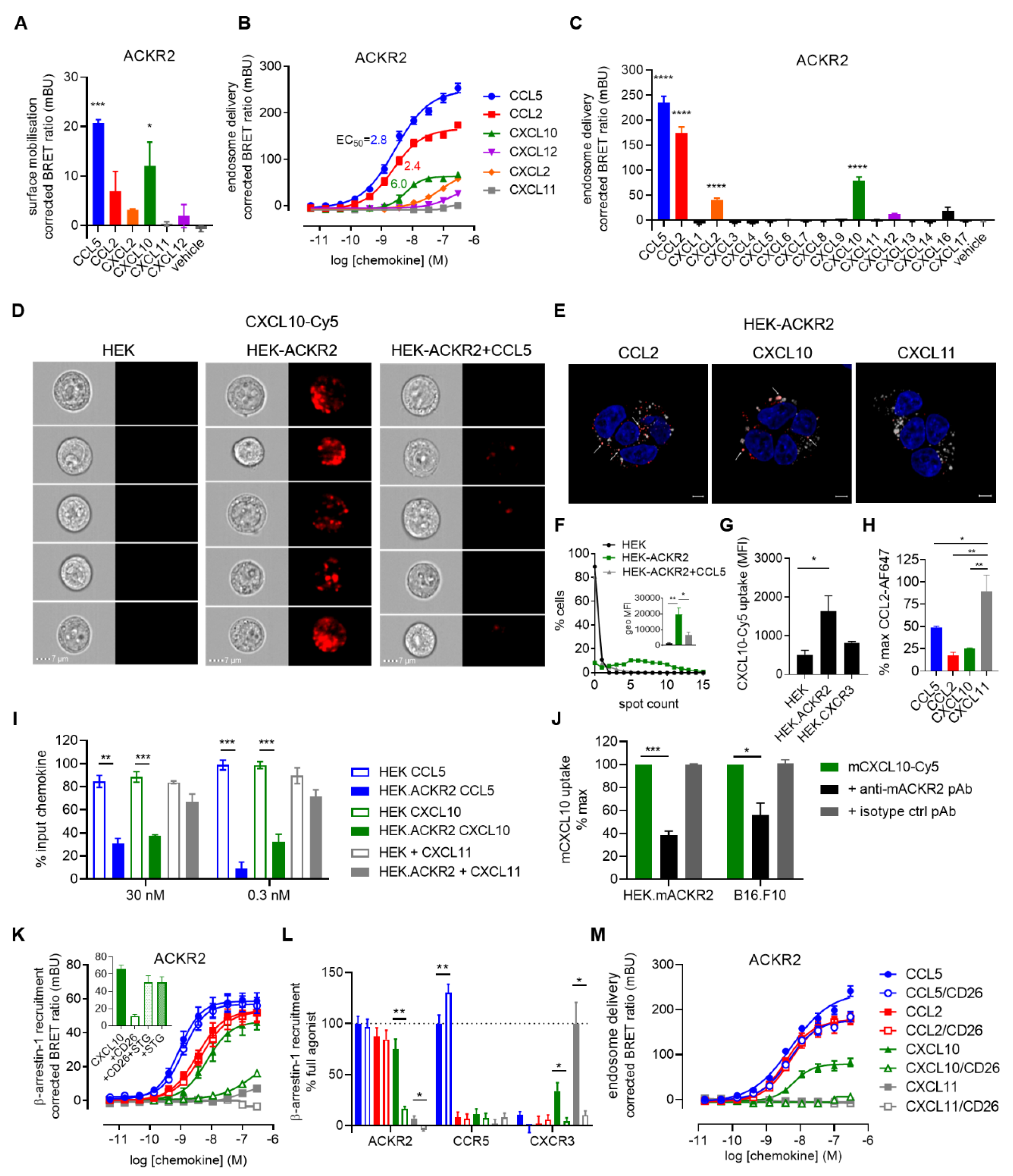 Cancers 13 01054 g002