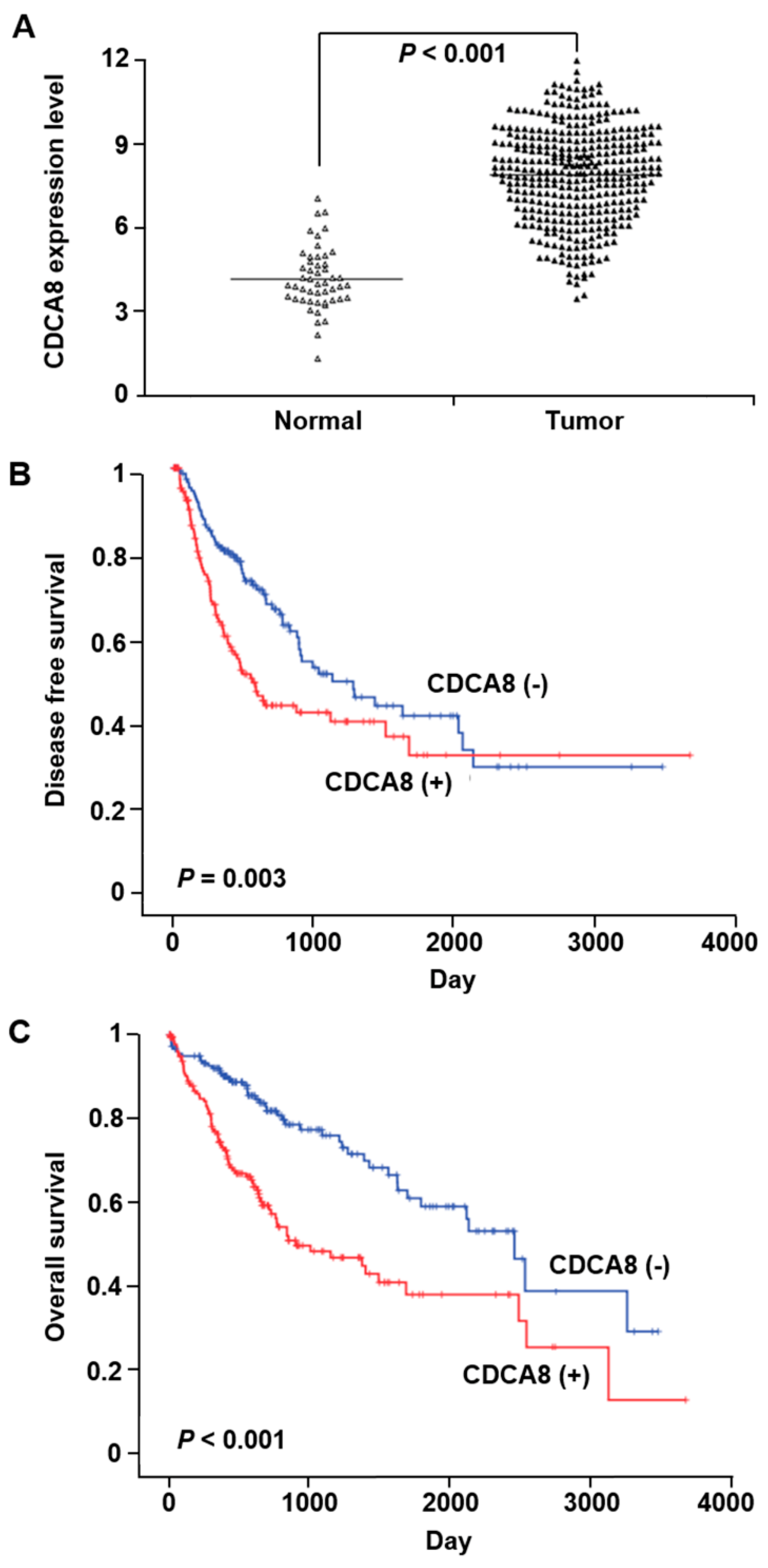 Cancers 13 01055 g001 Cancers 13 01055 g001