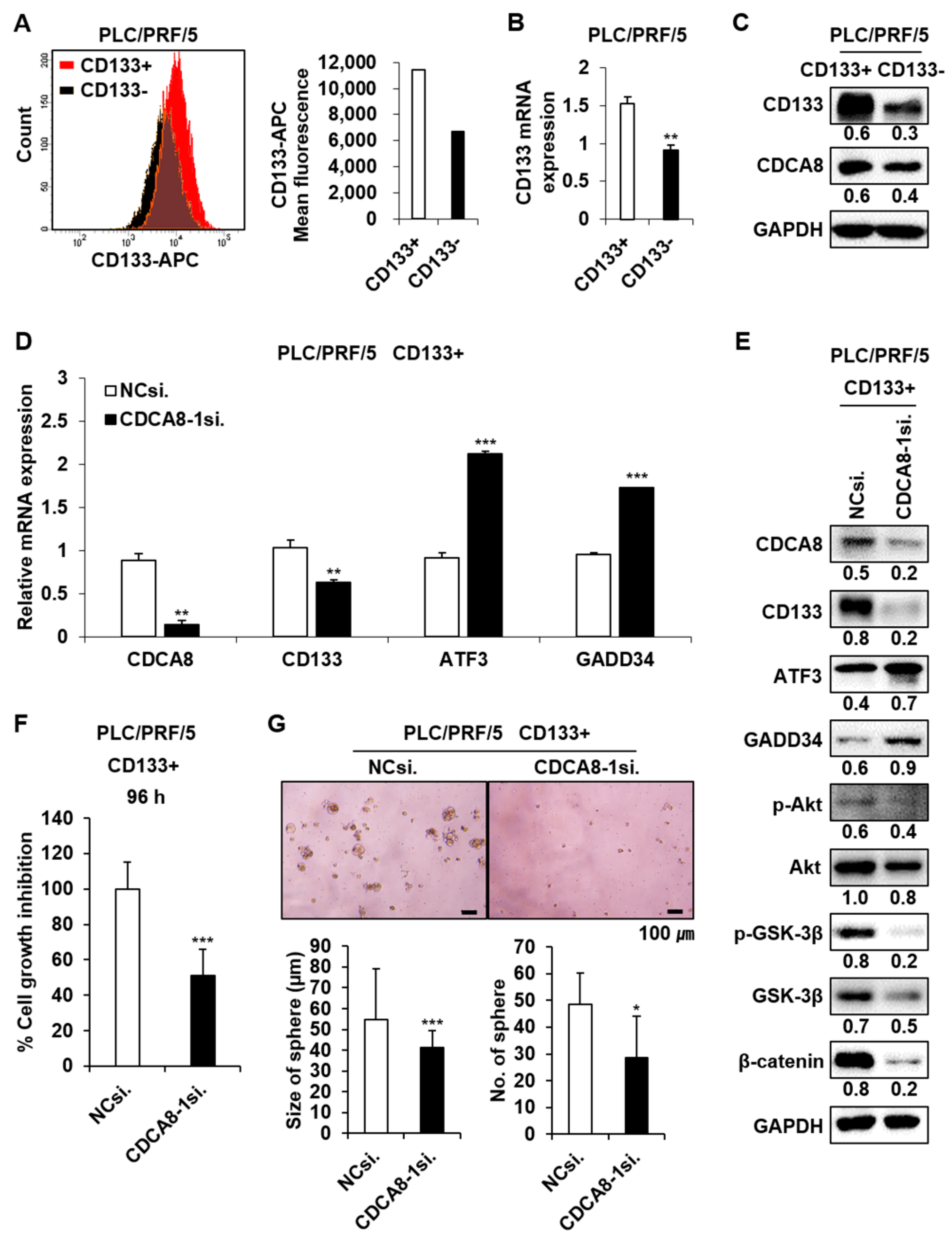 Cancers 13 01055 g008 Cancers 13 01055 g008