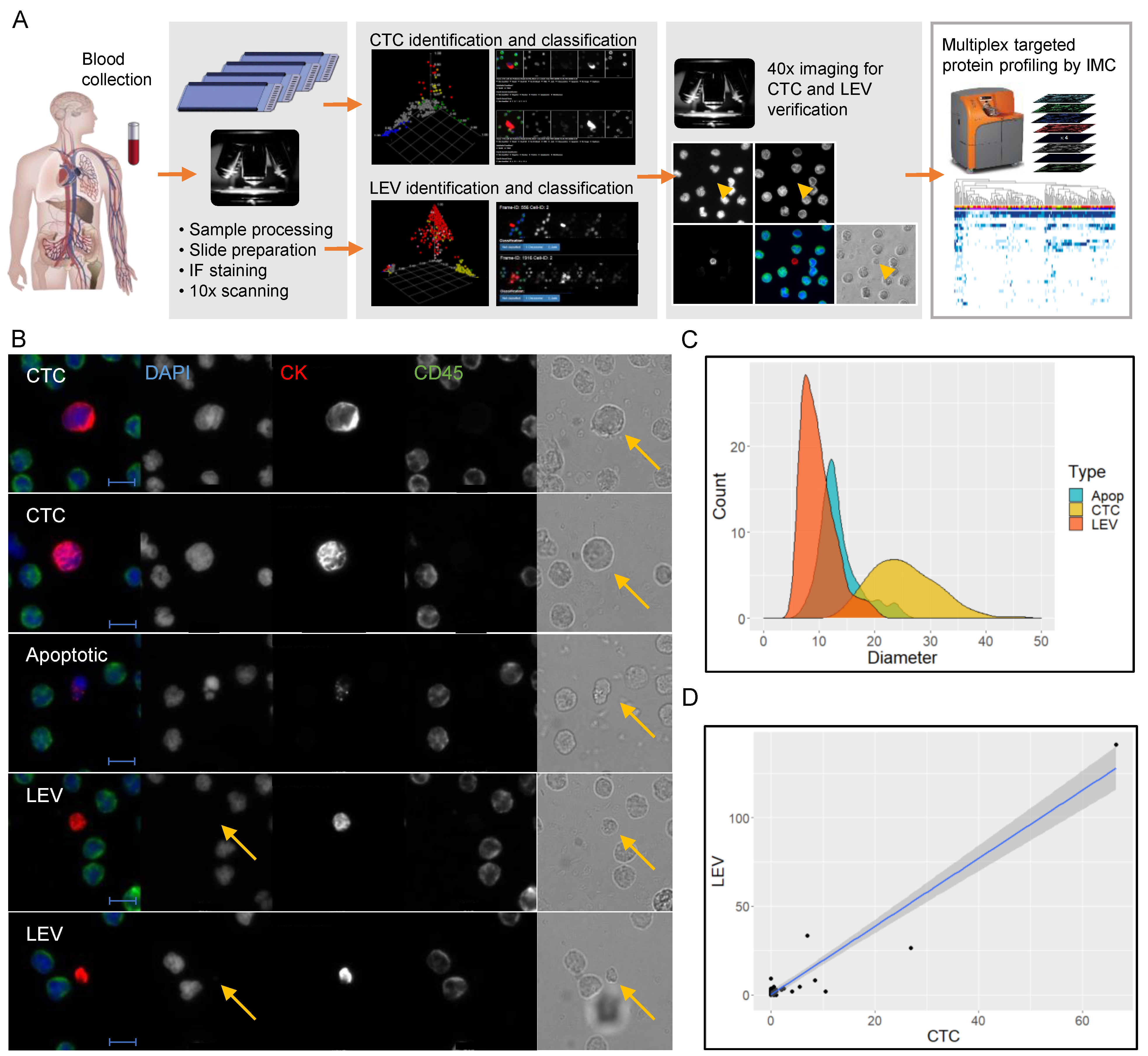 Cancers 13 01056 g001a