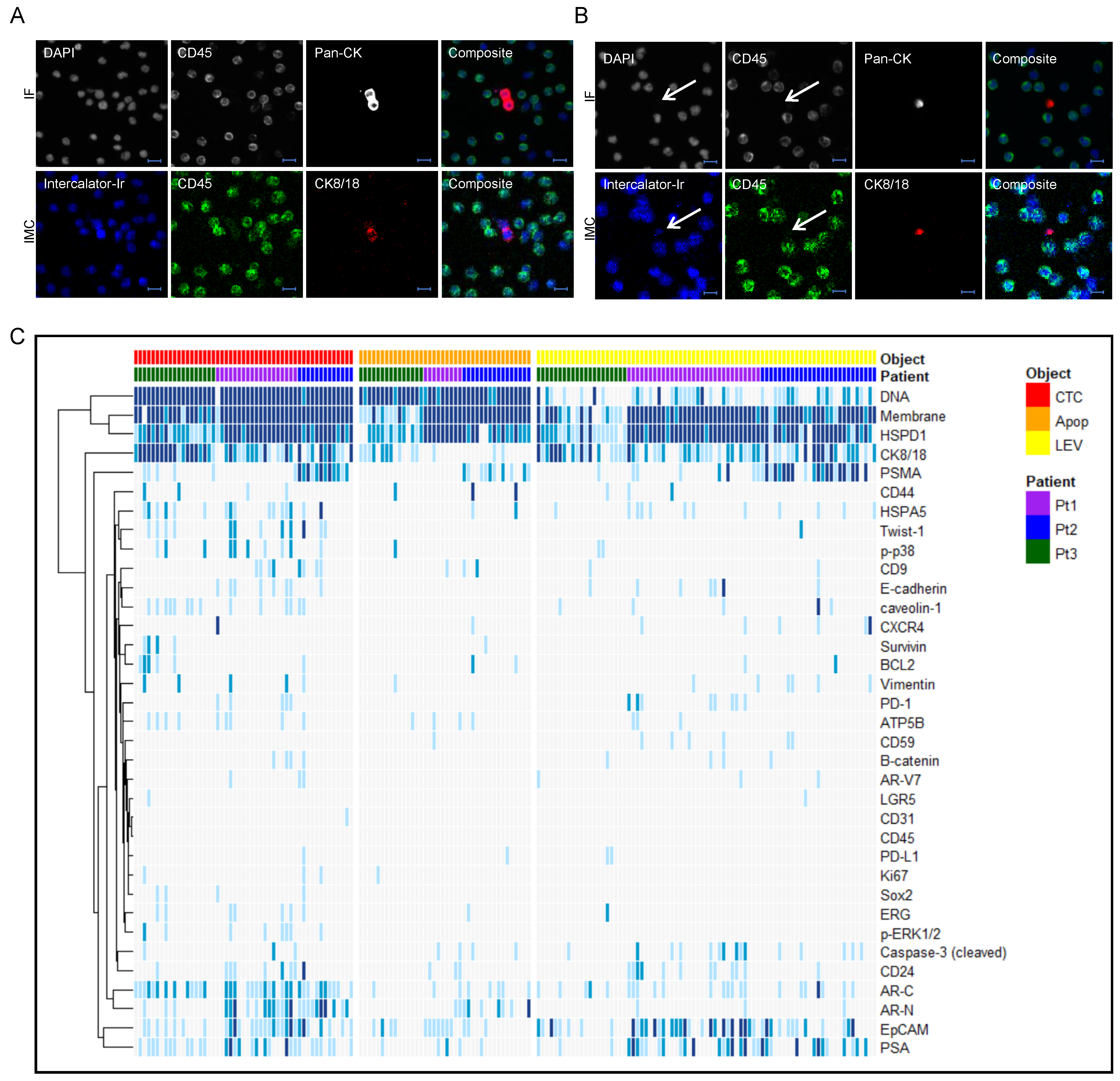 Cancers 13 01056 g002