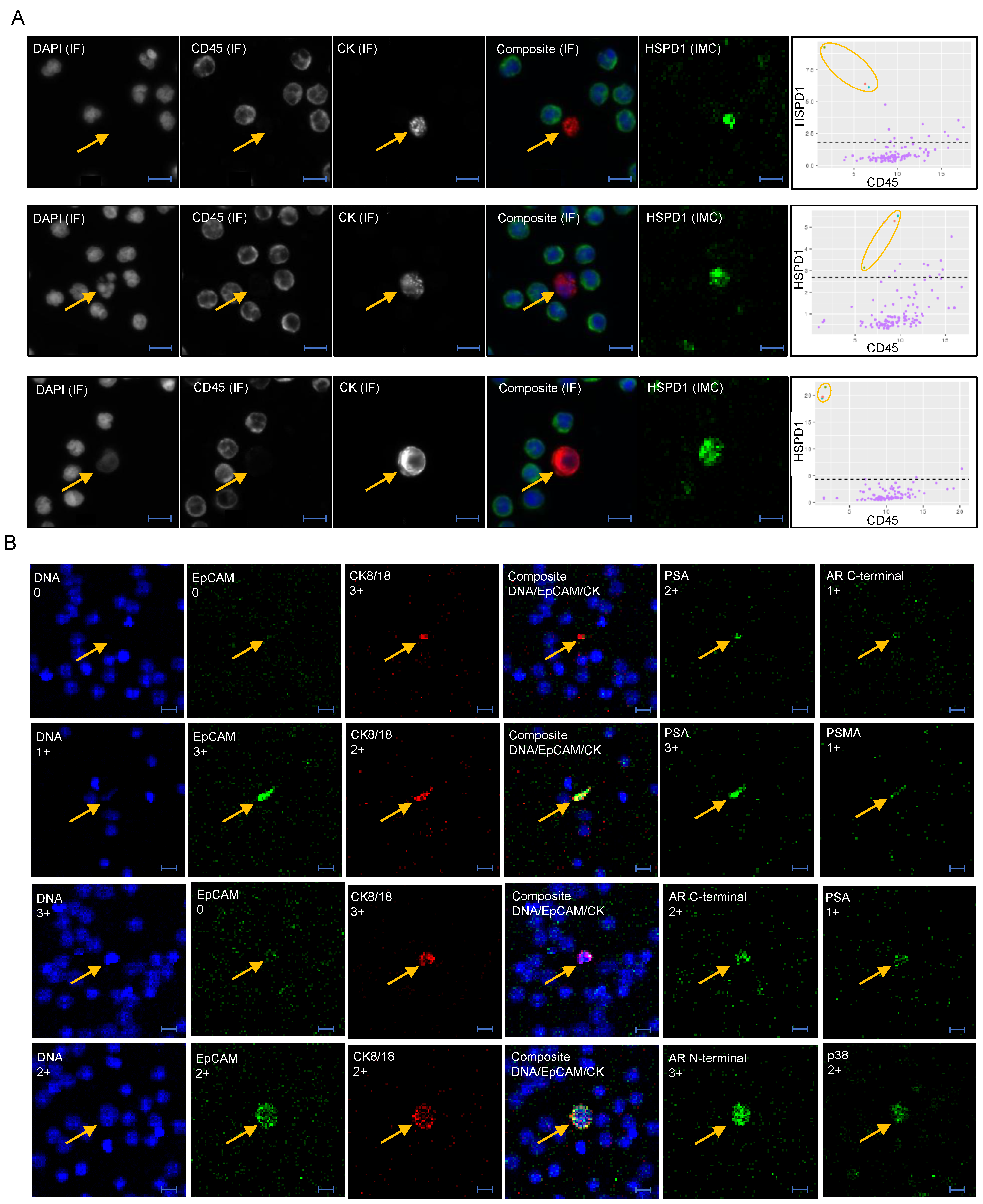 Cancers 13 01056 g003