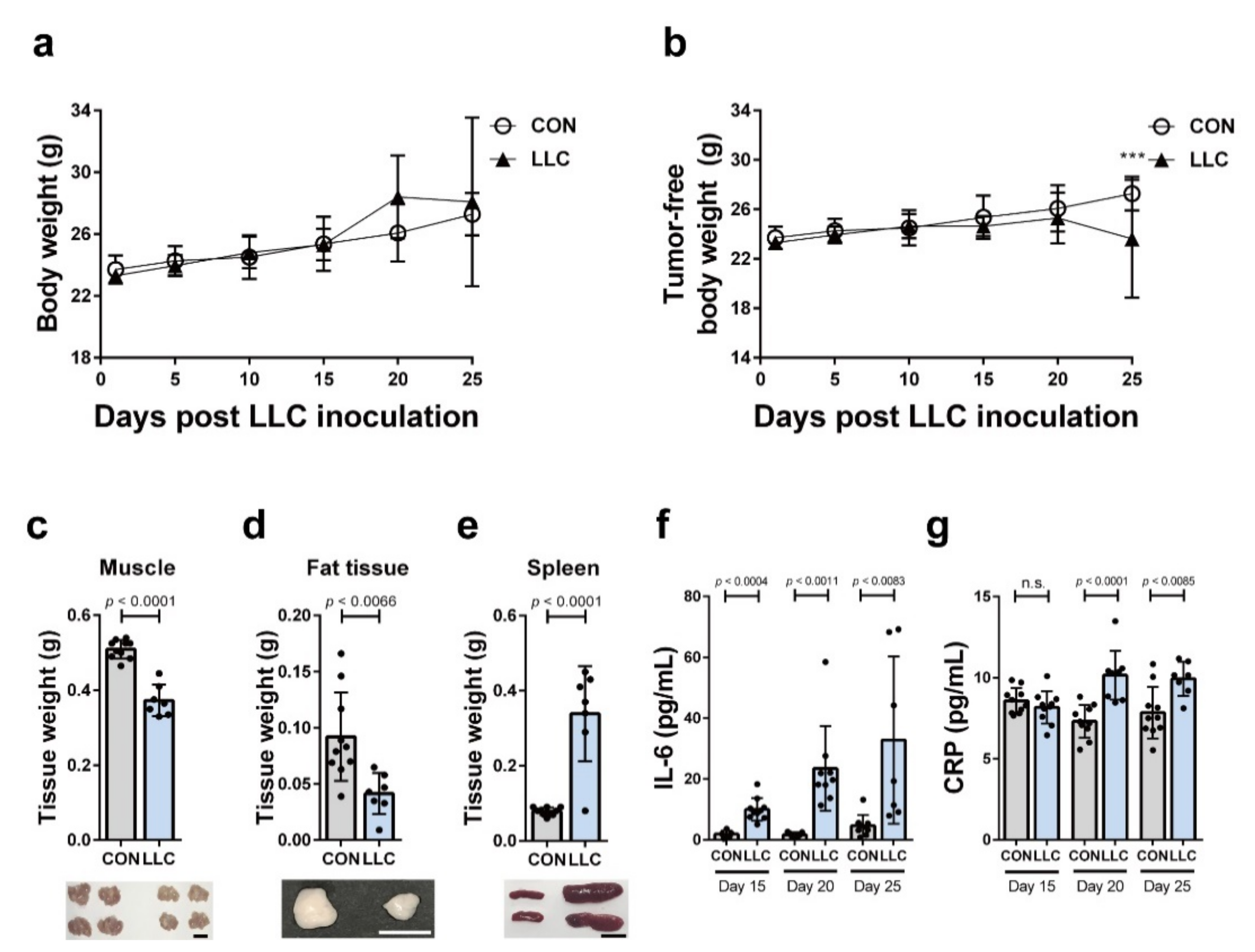 Cancers 13 01059 g001