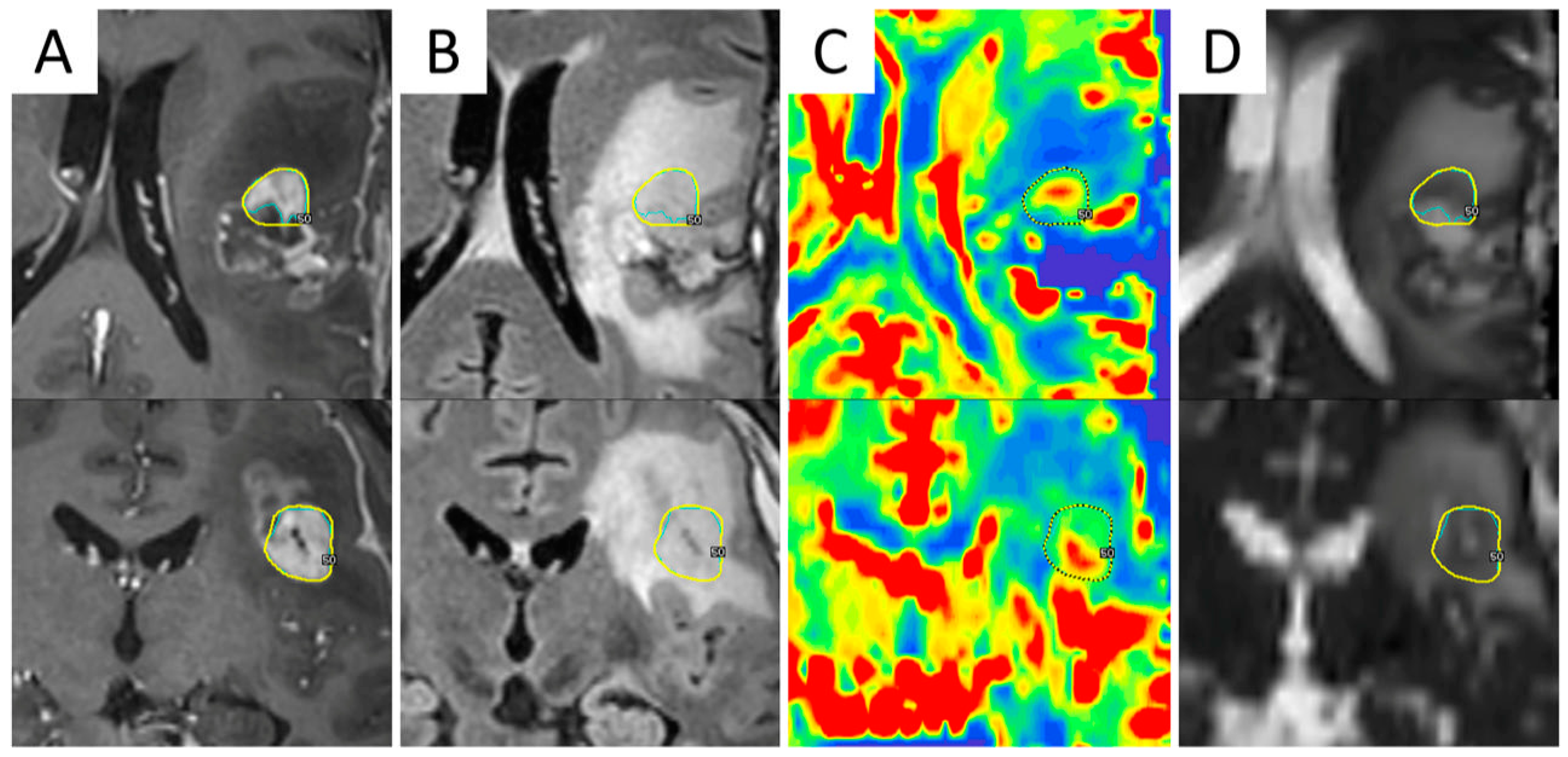 Cancers 13 01063 g002