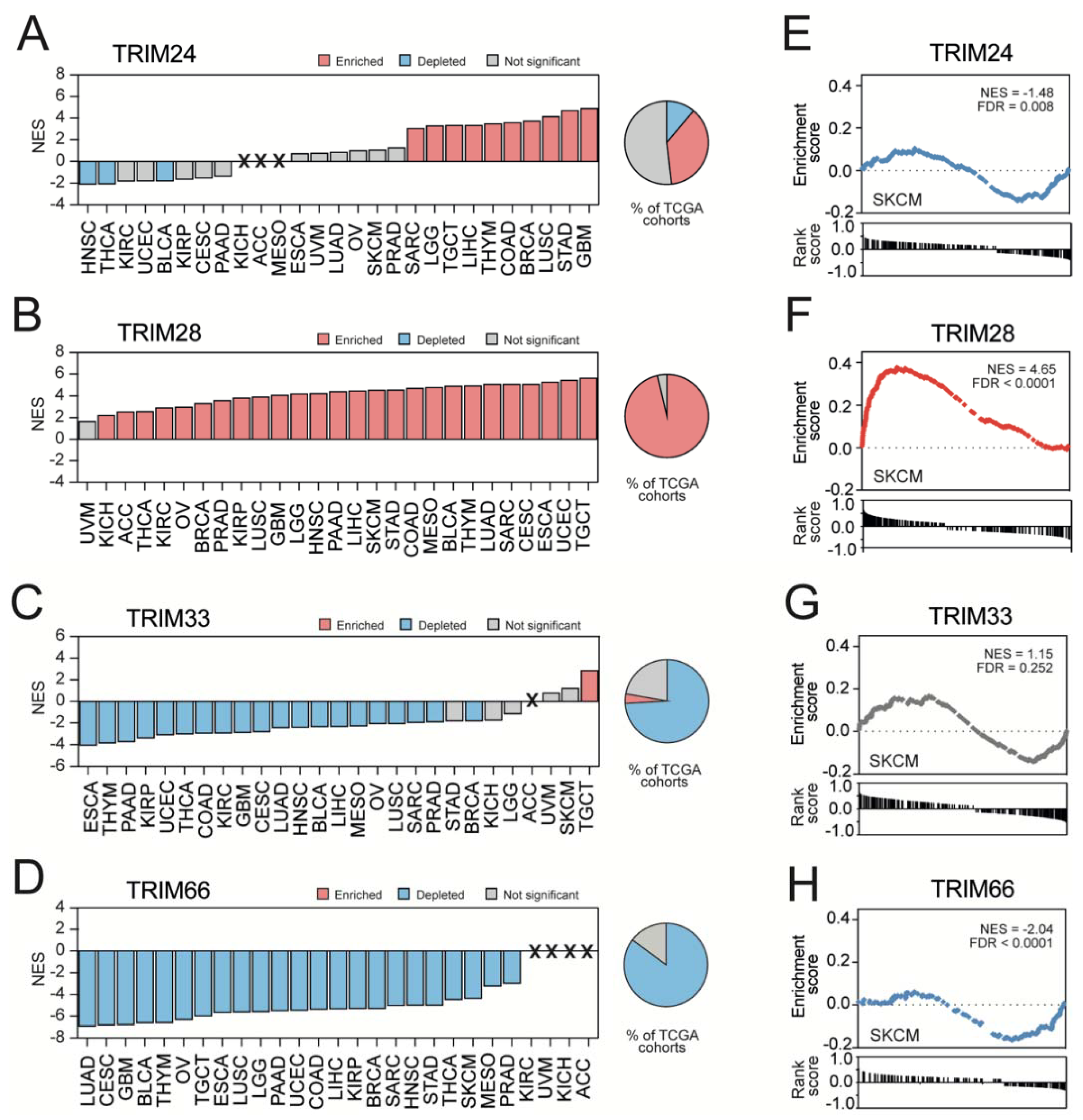 Cancers 13 01065 g005