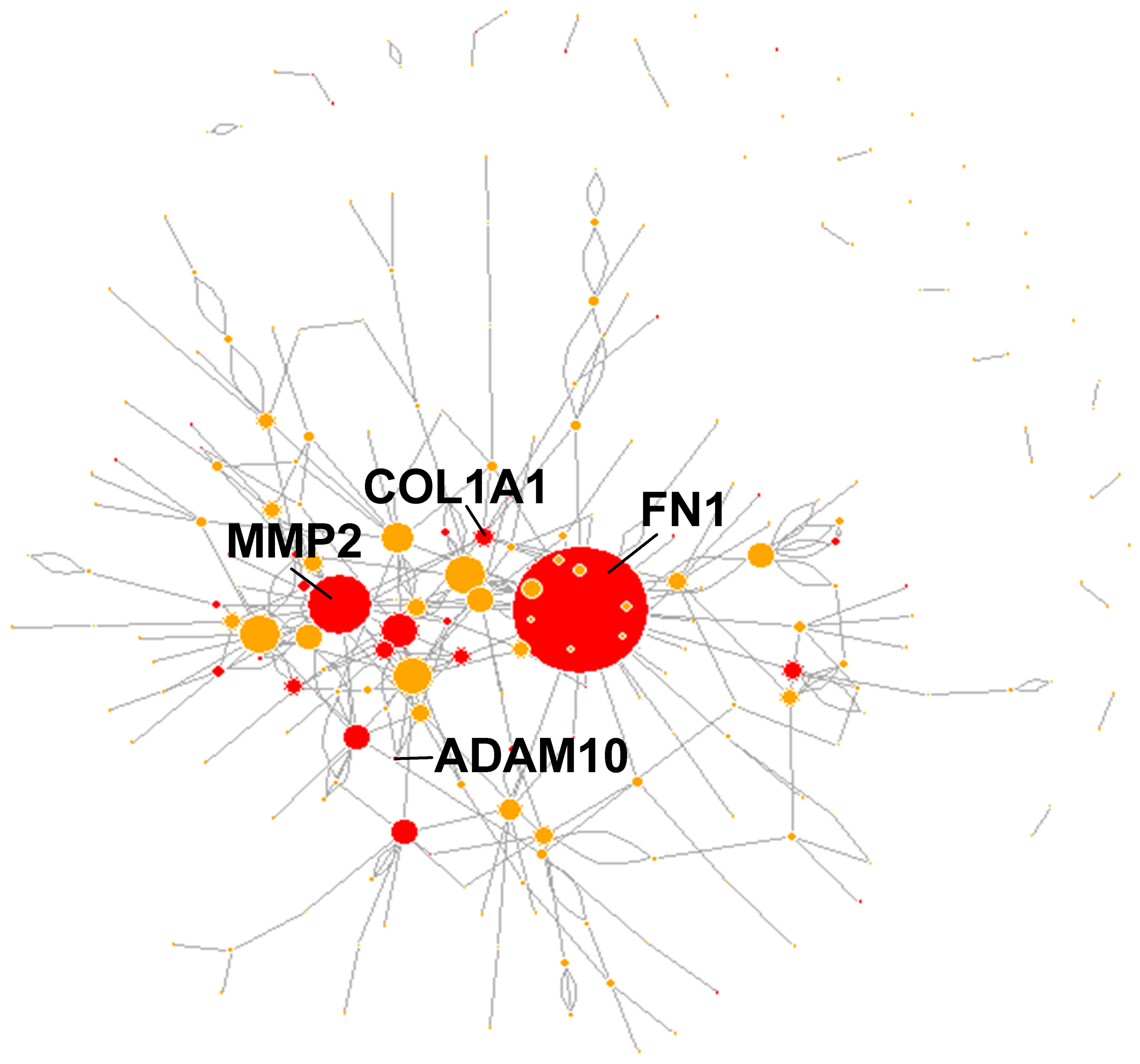 Cancers 13 01081 g004