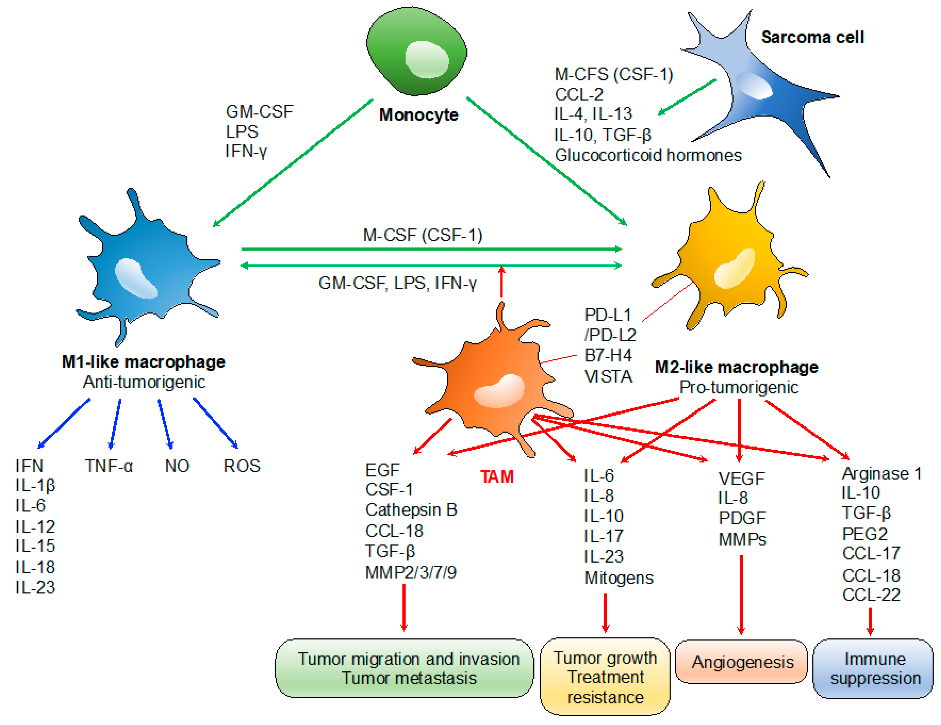 Cancers 13 01086 g001