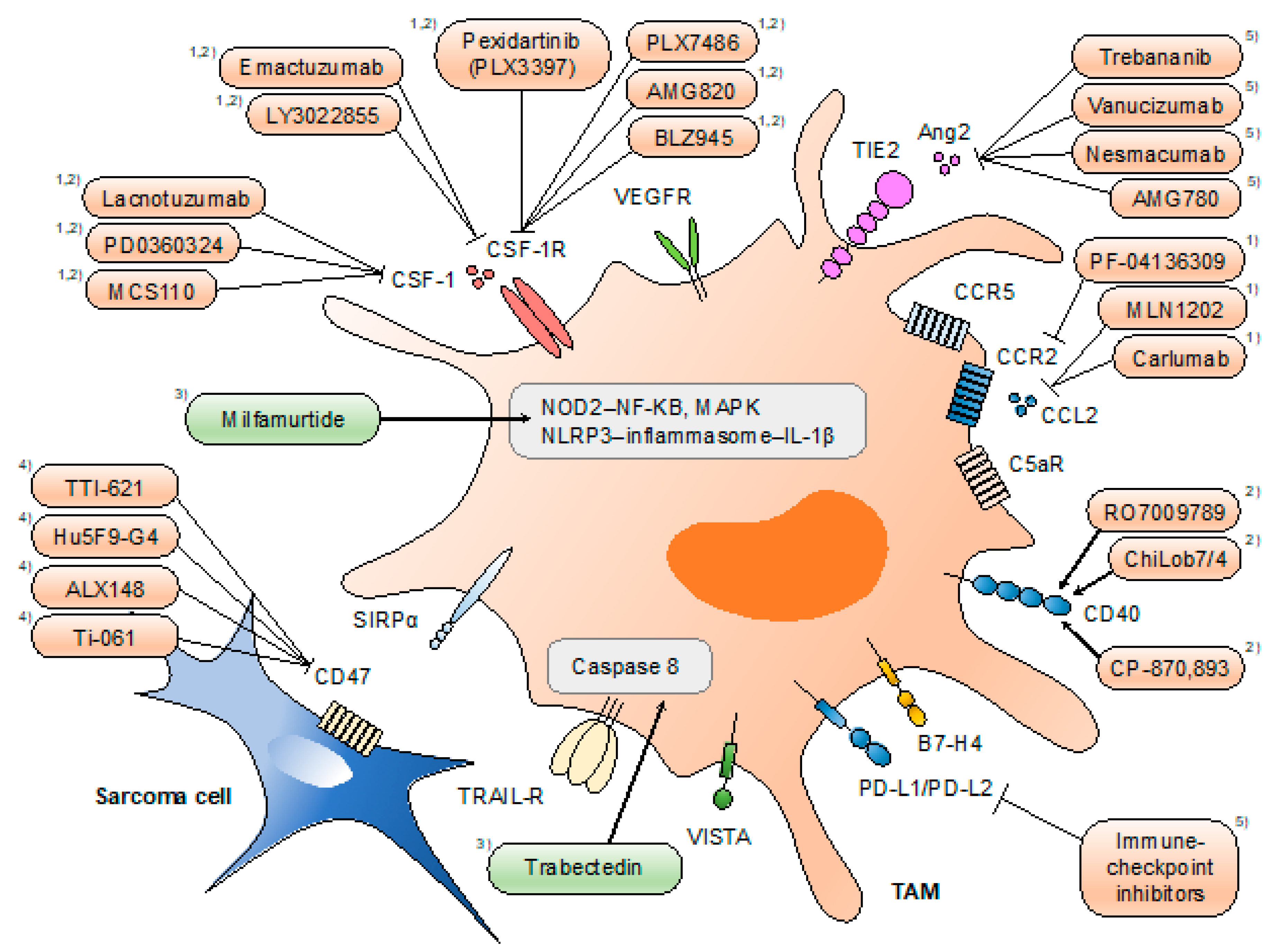 Cancers 13 01086 g002