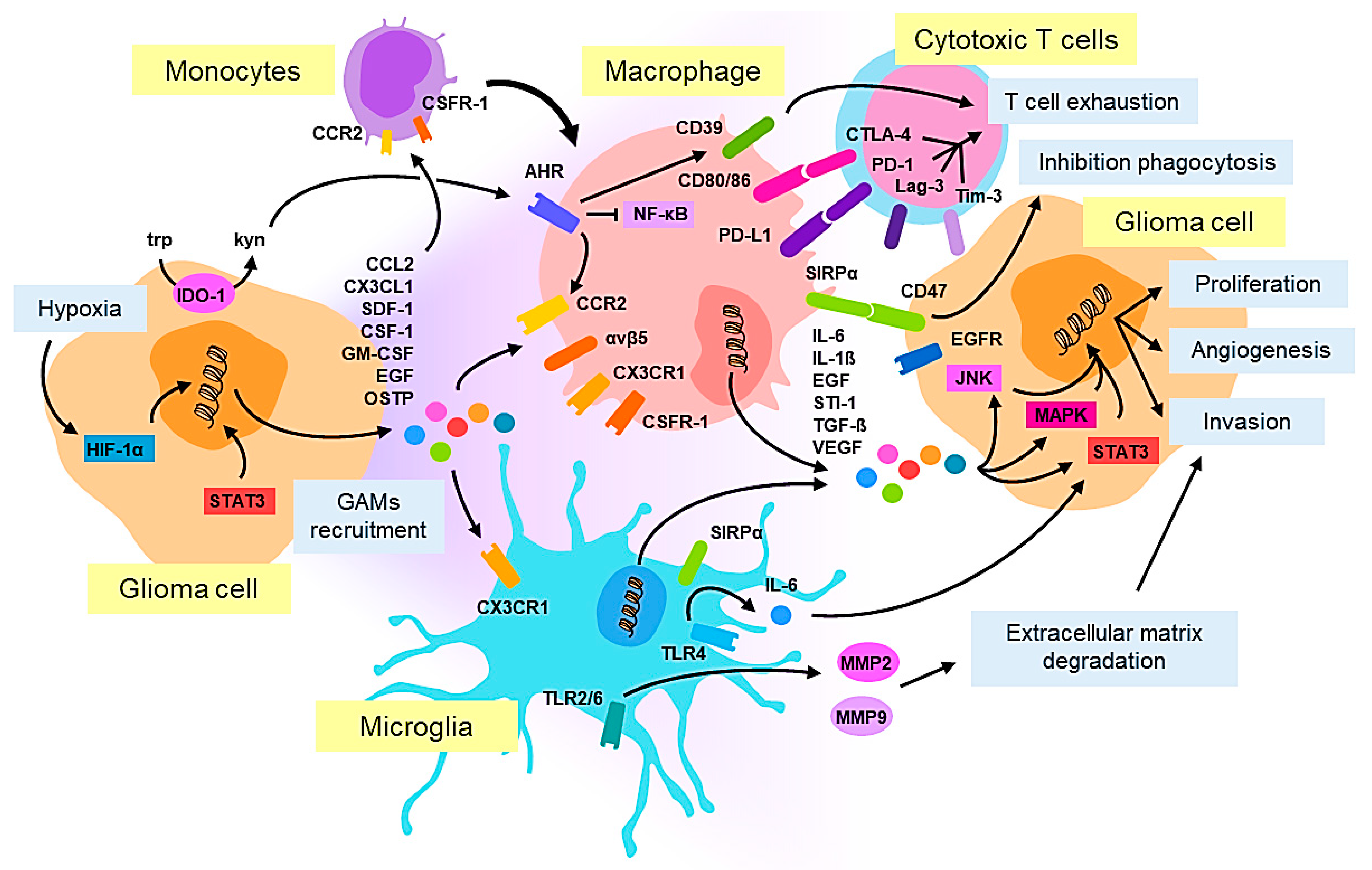 Cancers 13 01087 g001