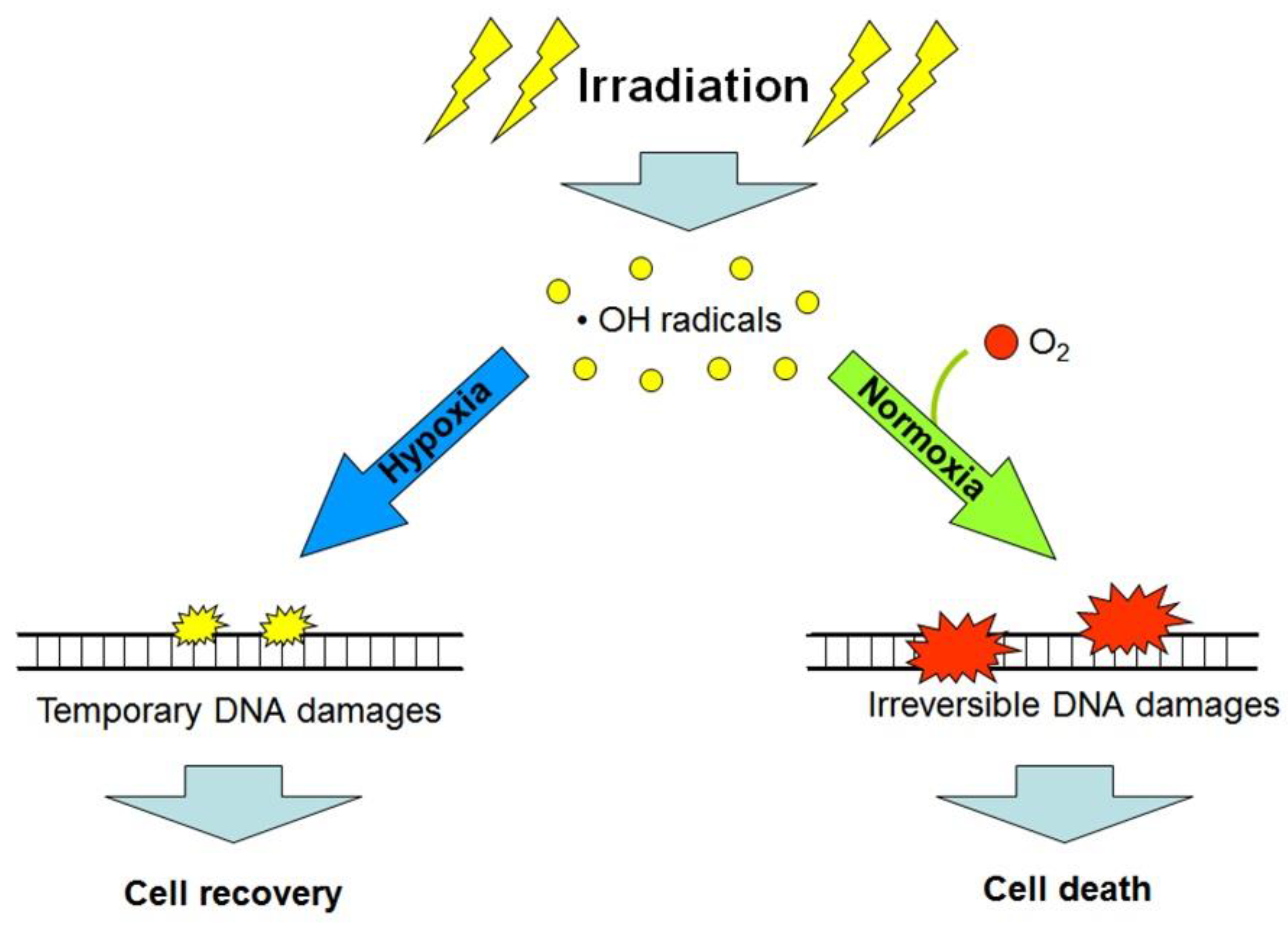Cancers 13 01102 g003