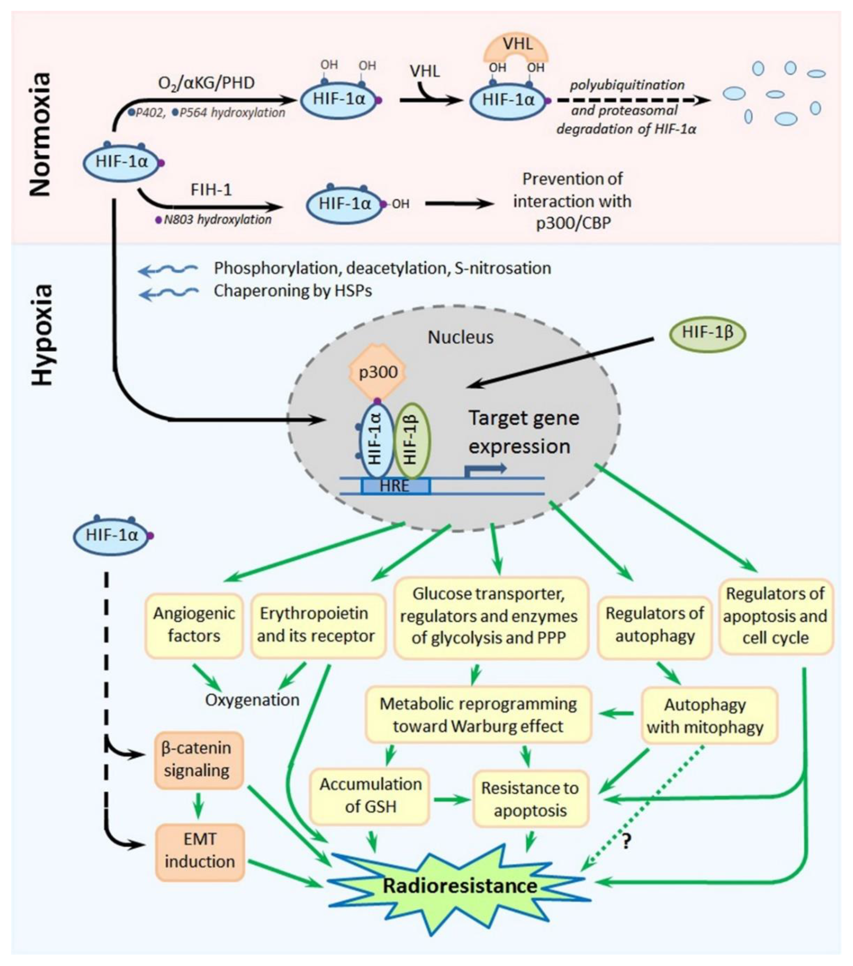 Cancers 13 01102 g004