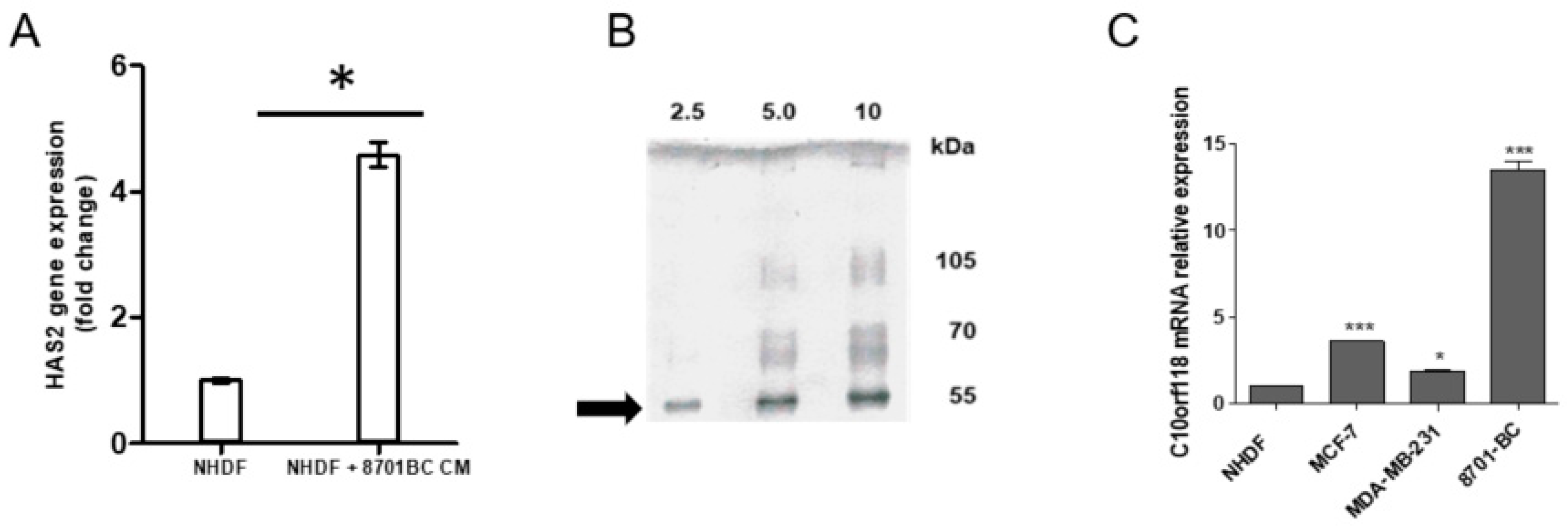 Cancers 13 01105 g001