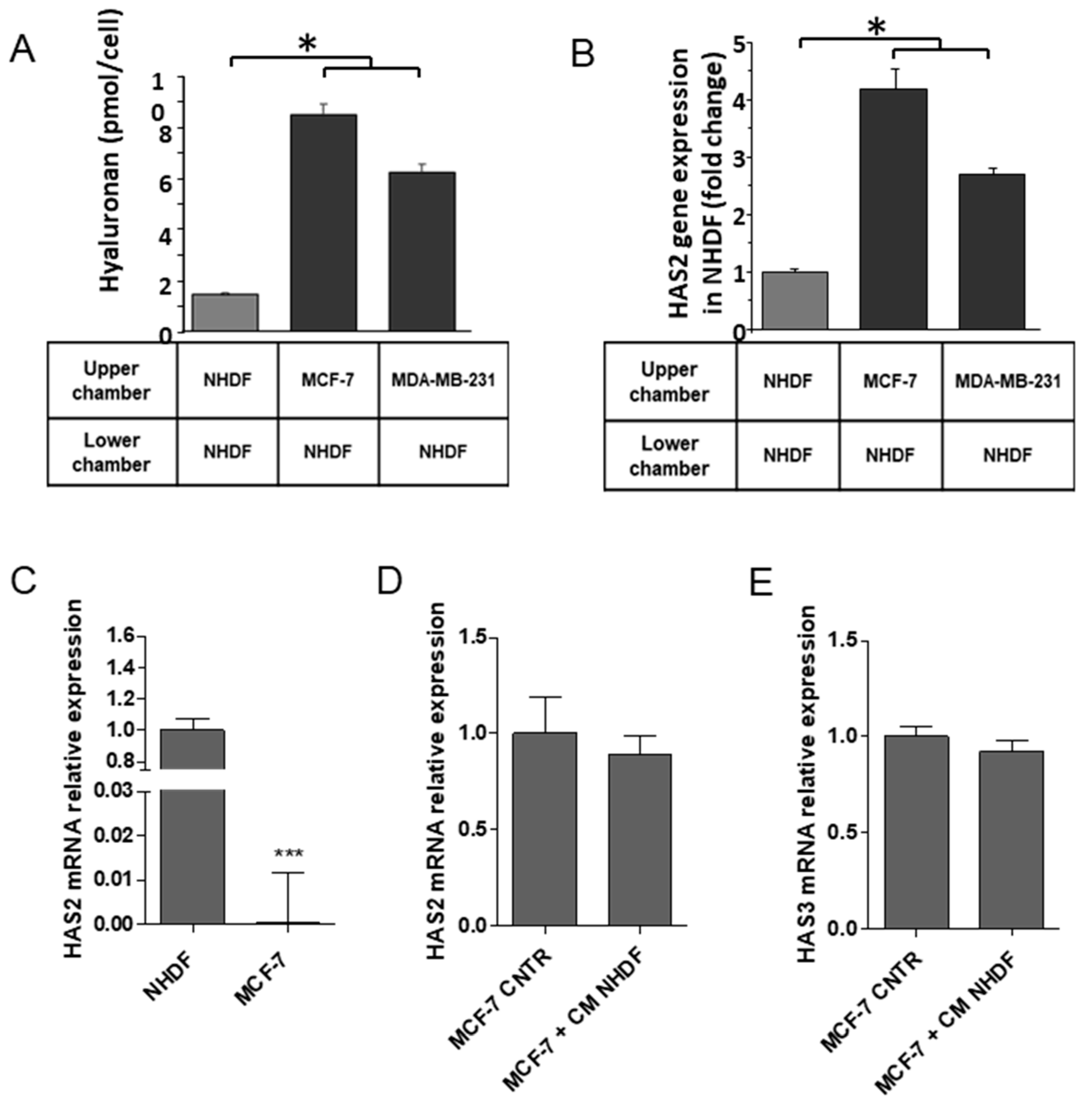Cancers 13 01105 g006