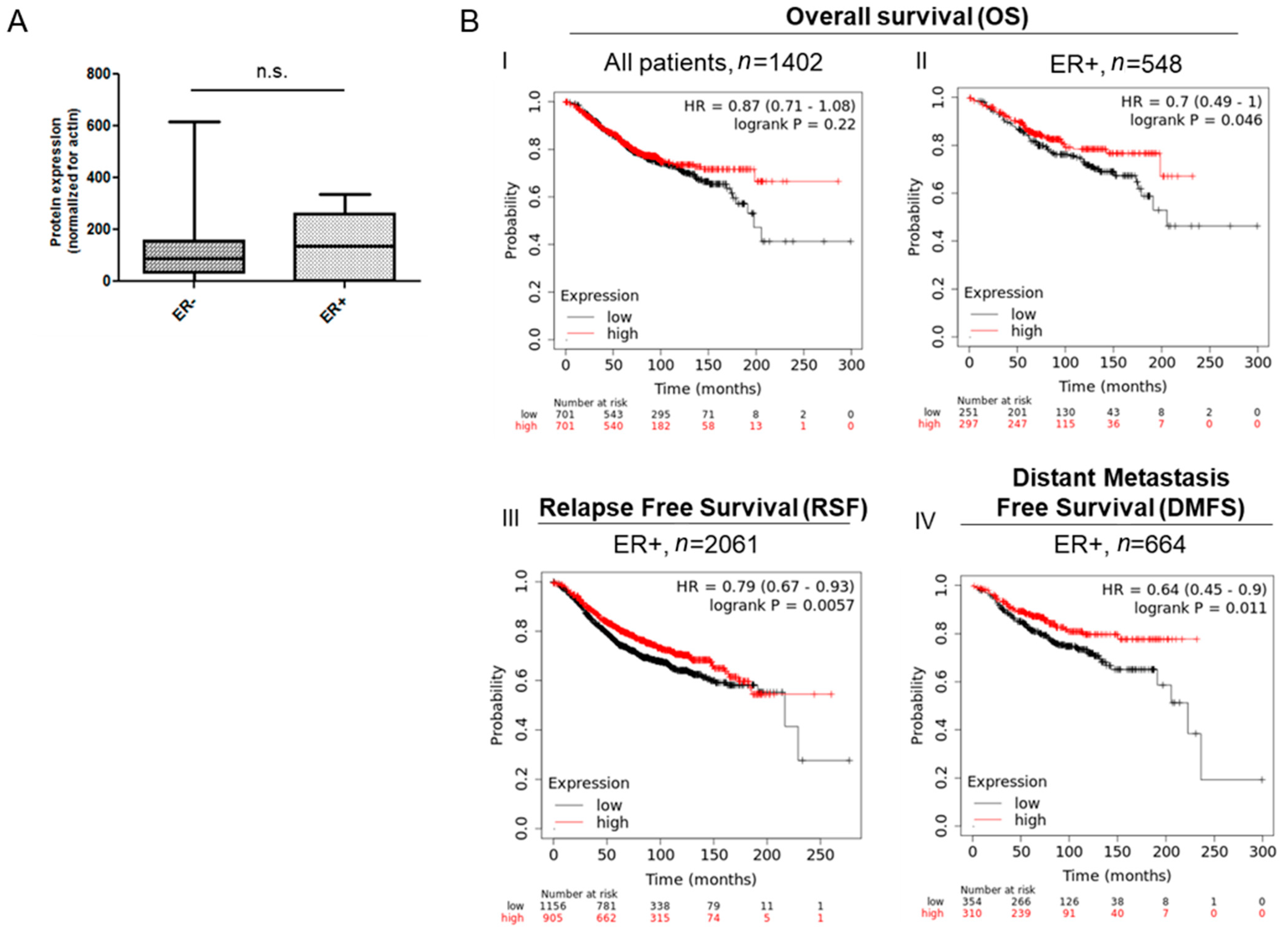 Cancers 13 01105 g008