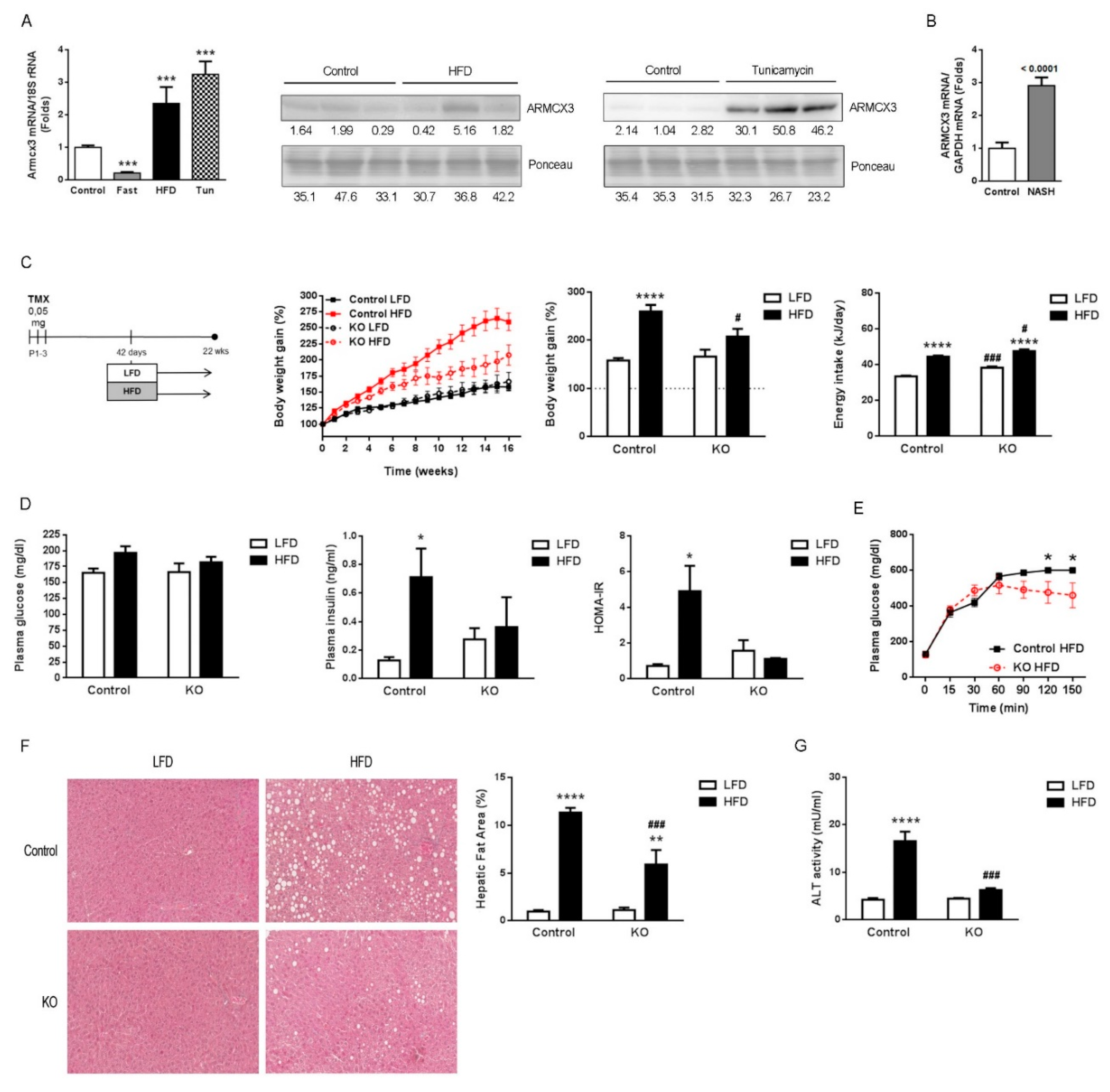 Cancers 13 01110 g001
