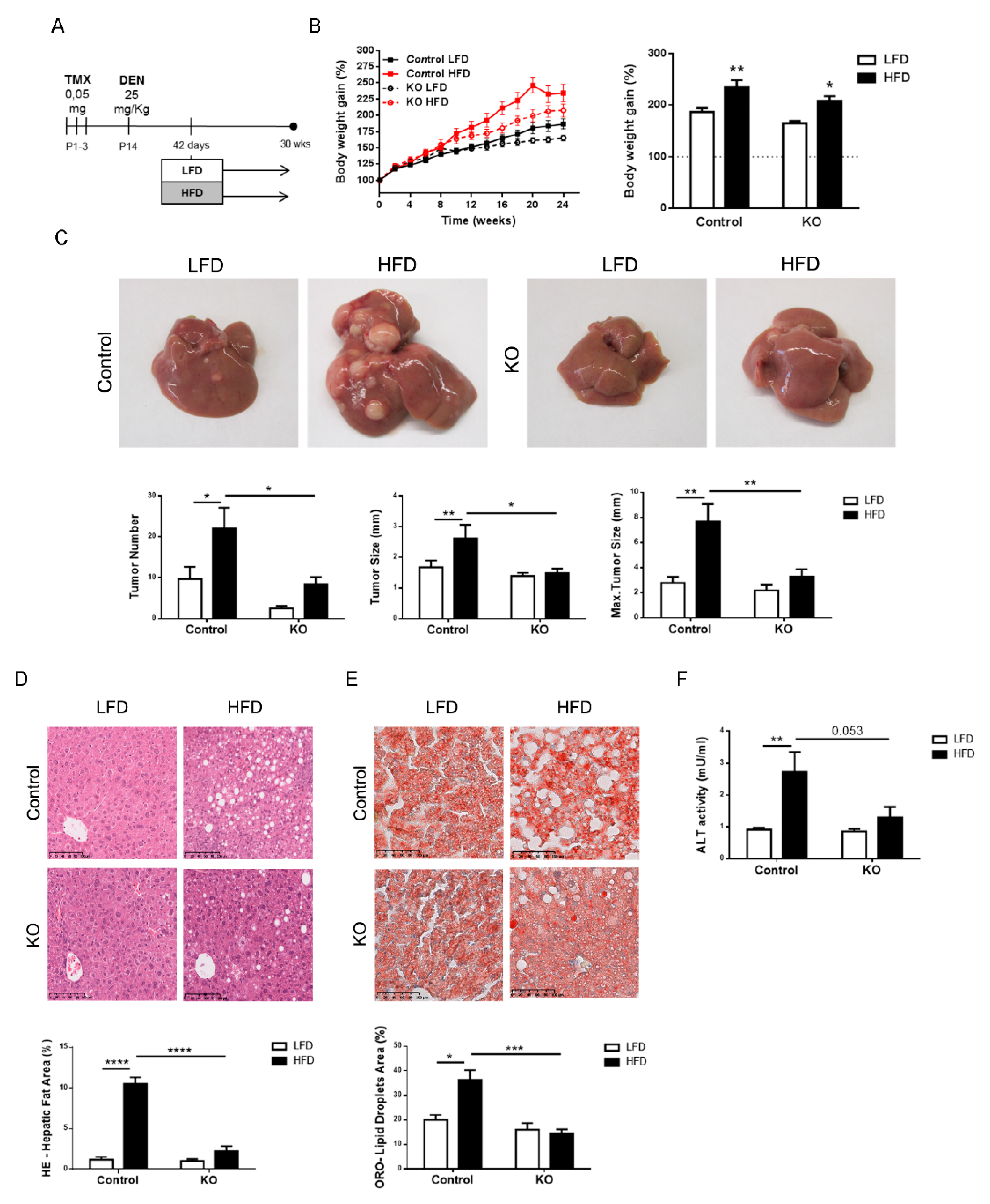 Cancers 13 01110 g002