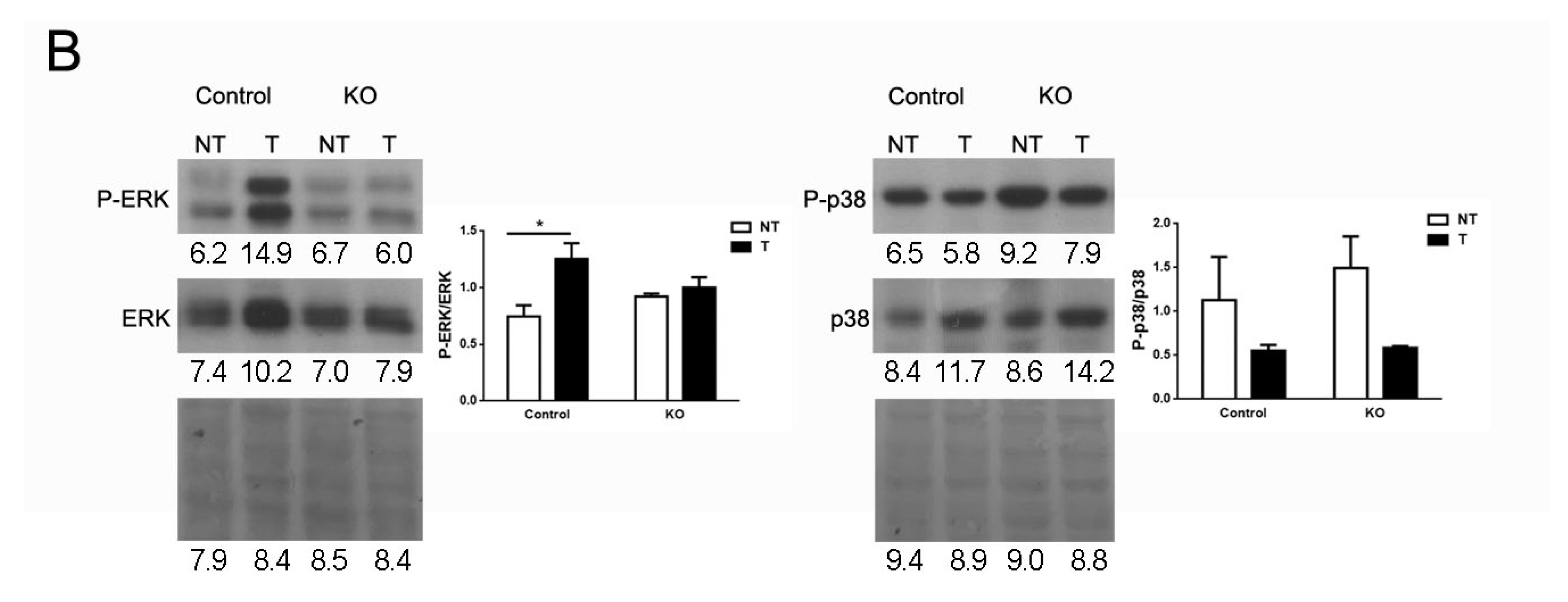 Cancers 13 01110 g004b