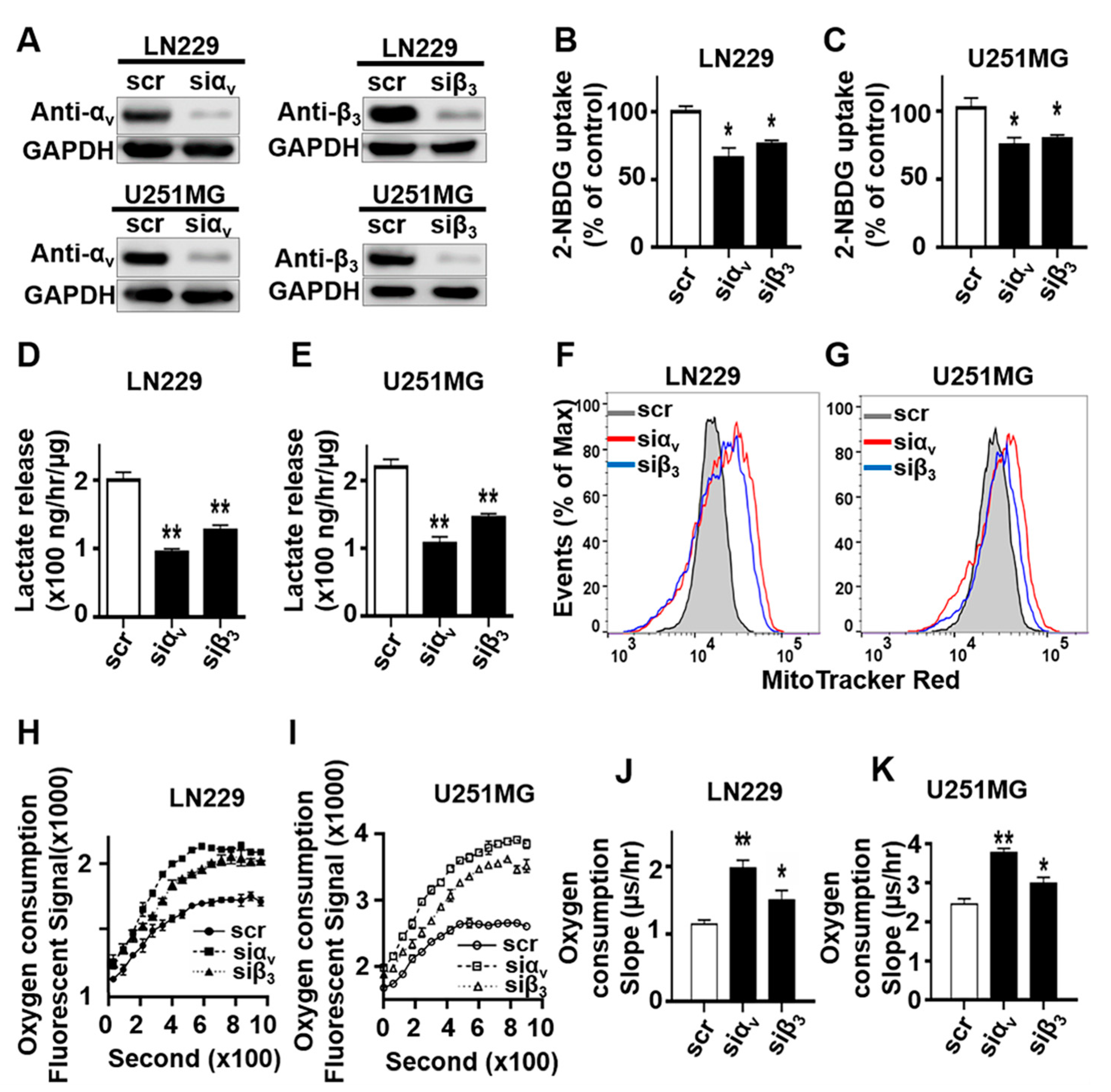 Cancers 13 01111 g001