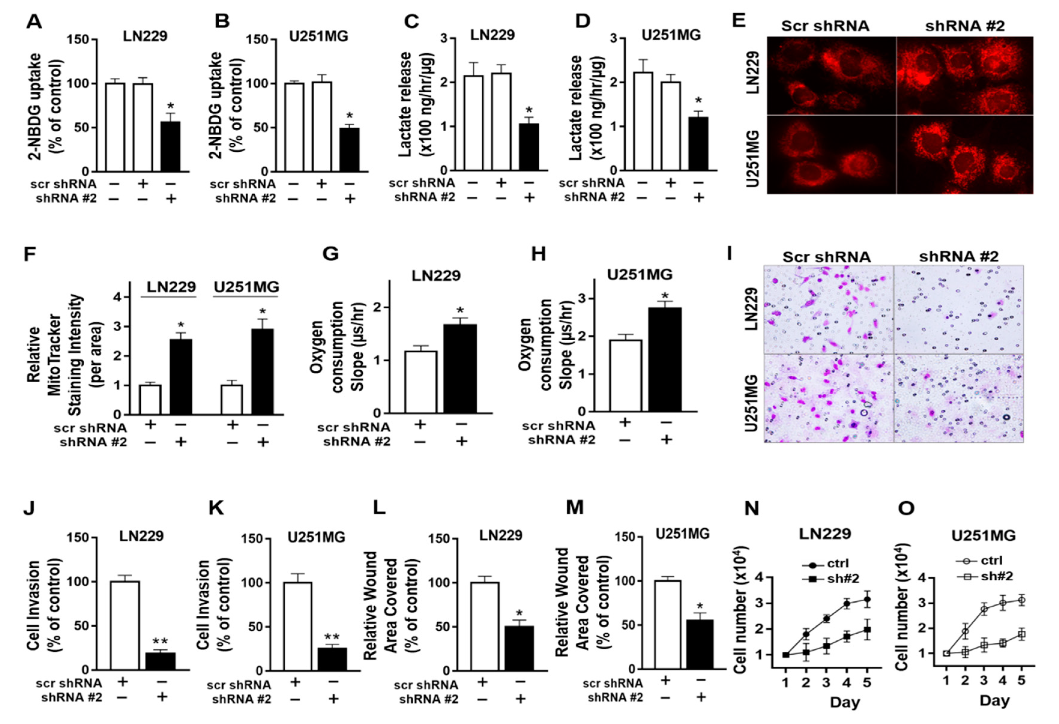 Cancers 13 01111 g006