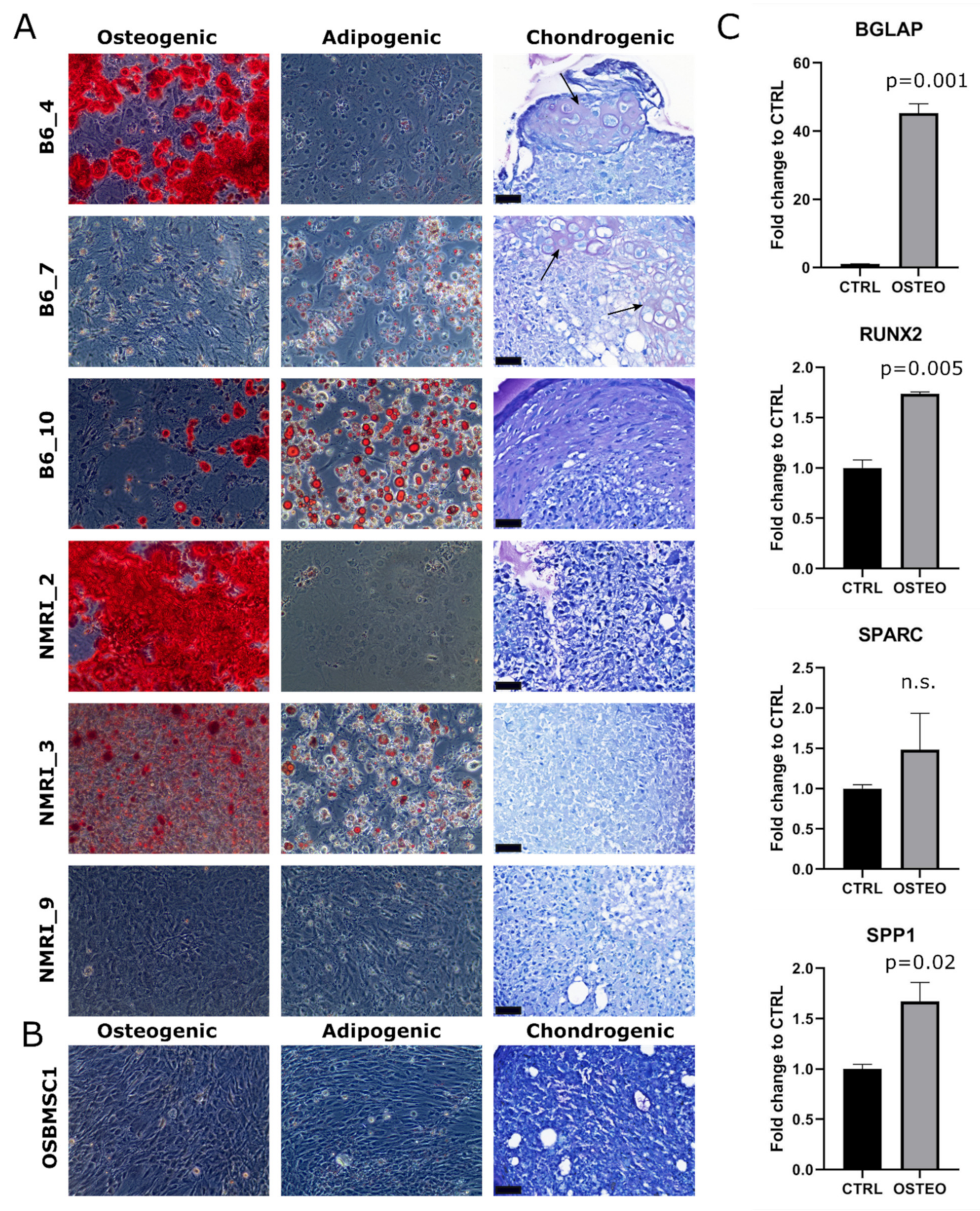 Cancers 13 01126 g003