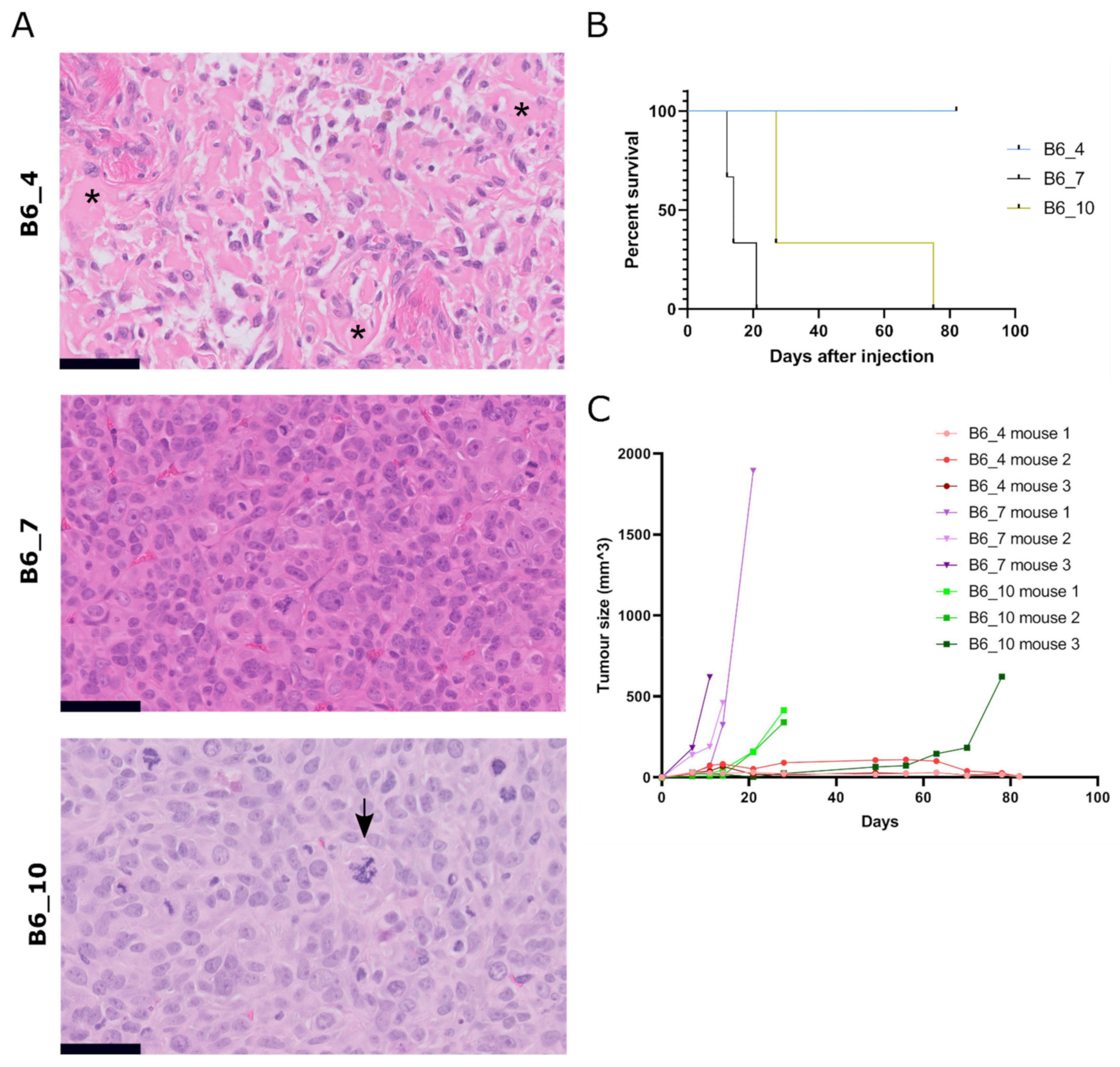 Cancers 13 01126 g004