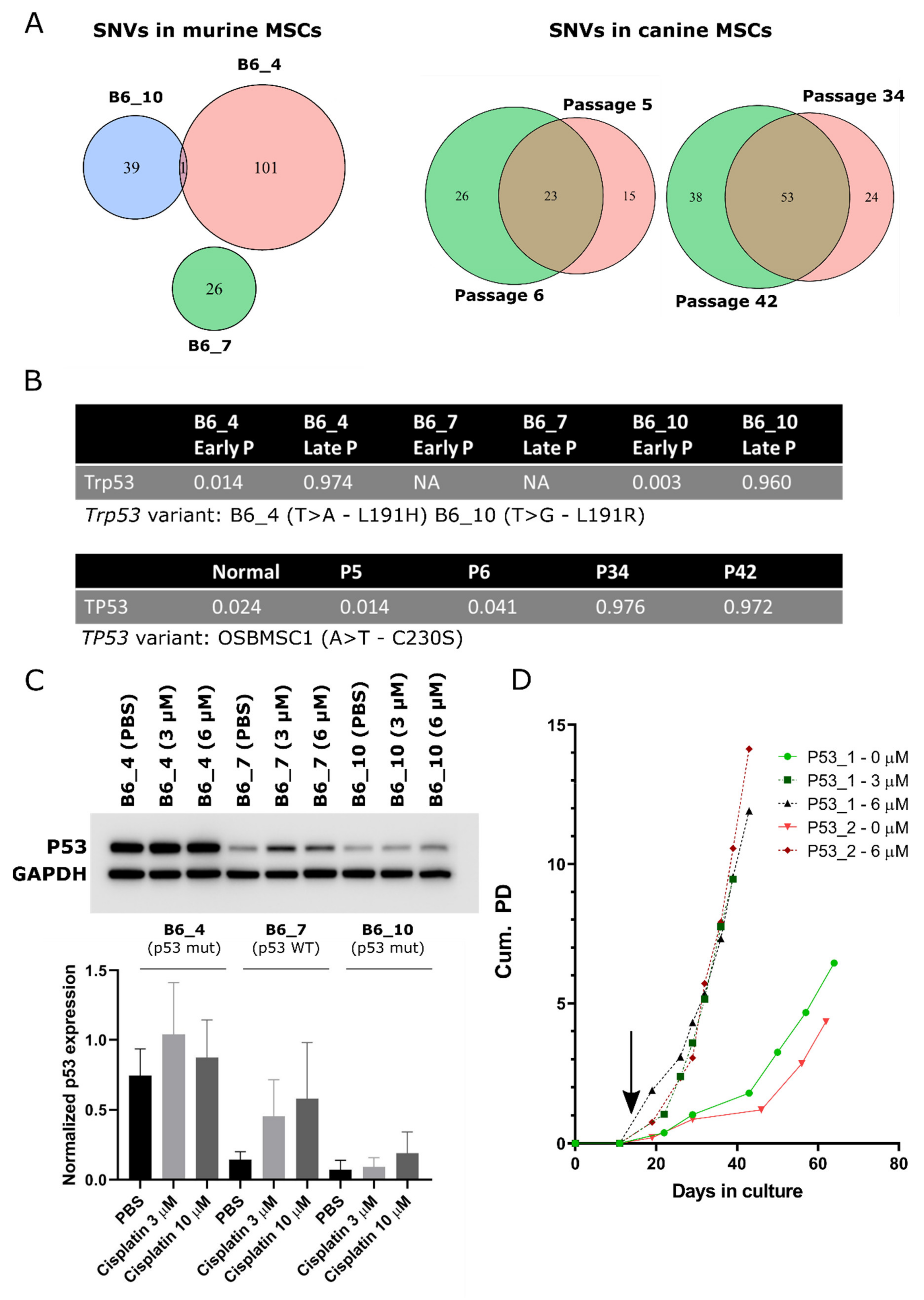 Cancers 13 01126 g006