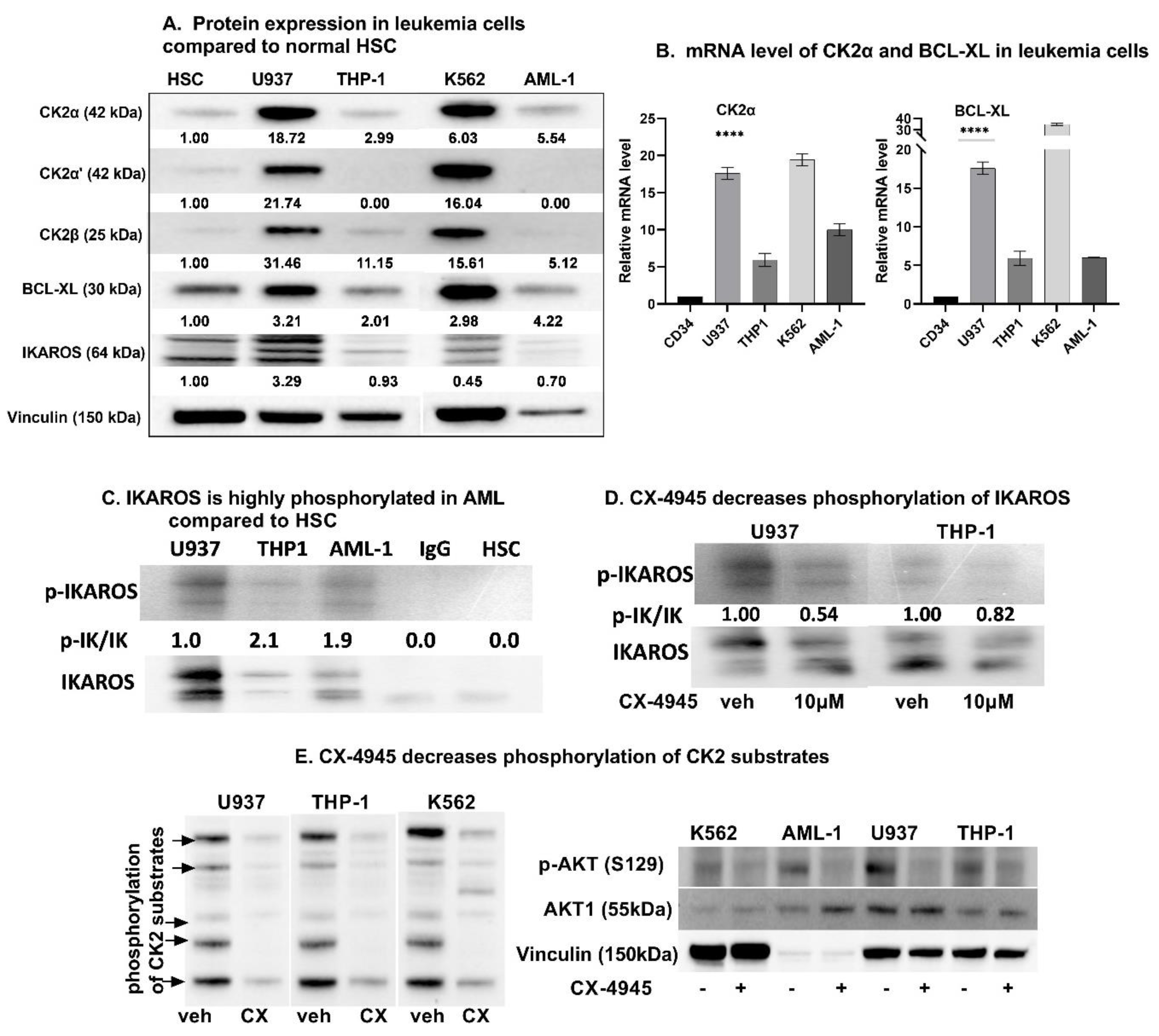 Cancers 13 01127 g001