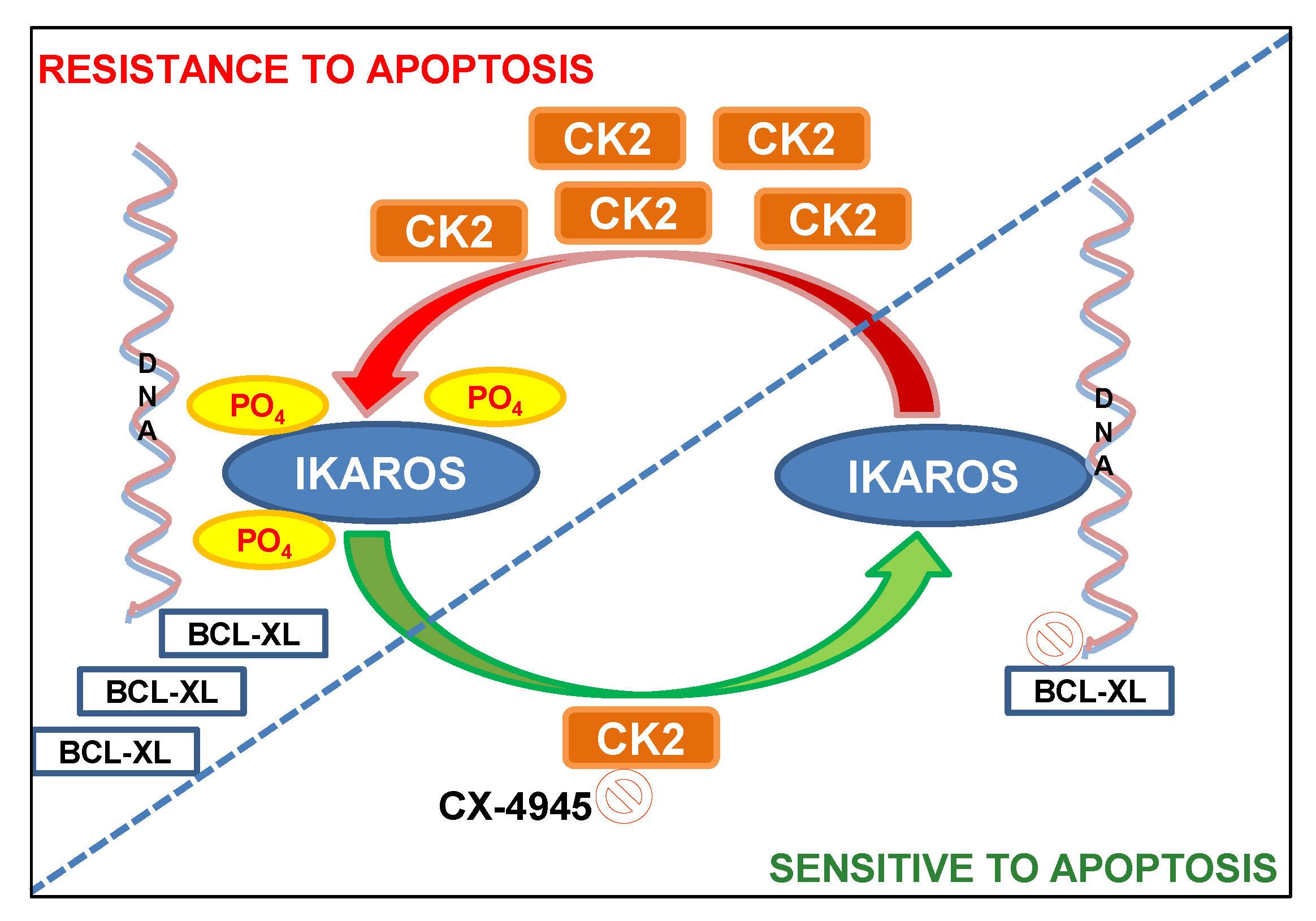 Cancers 13 01127 g008