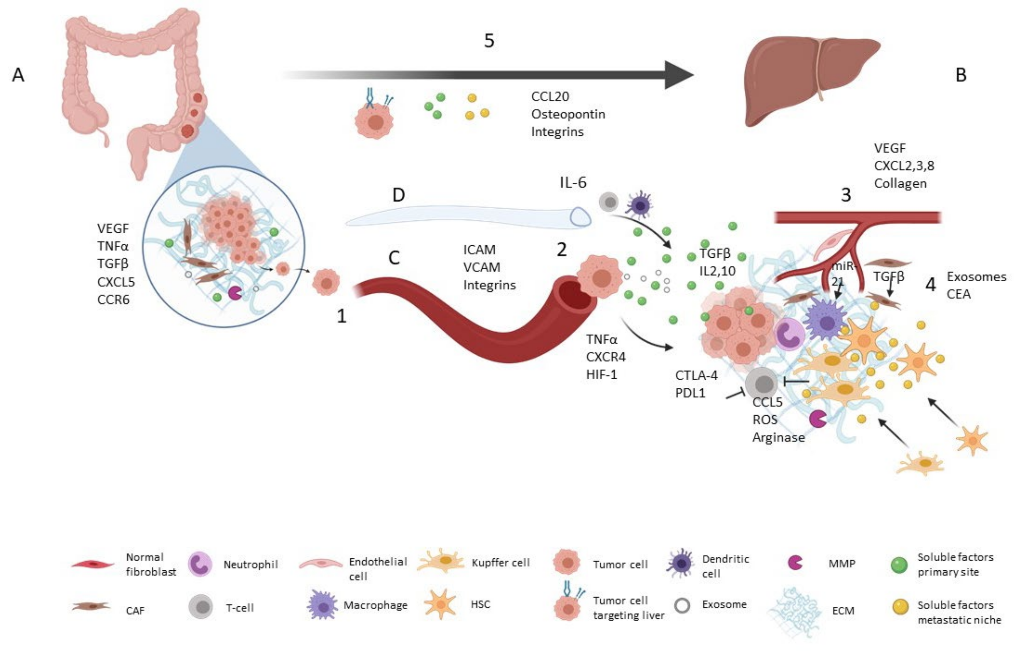 Cancers 13 01130 g001