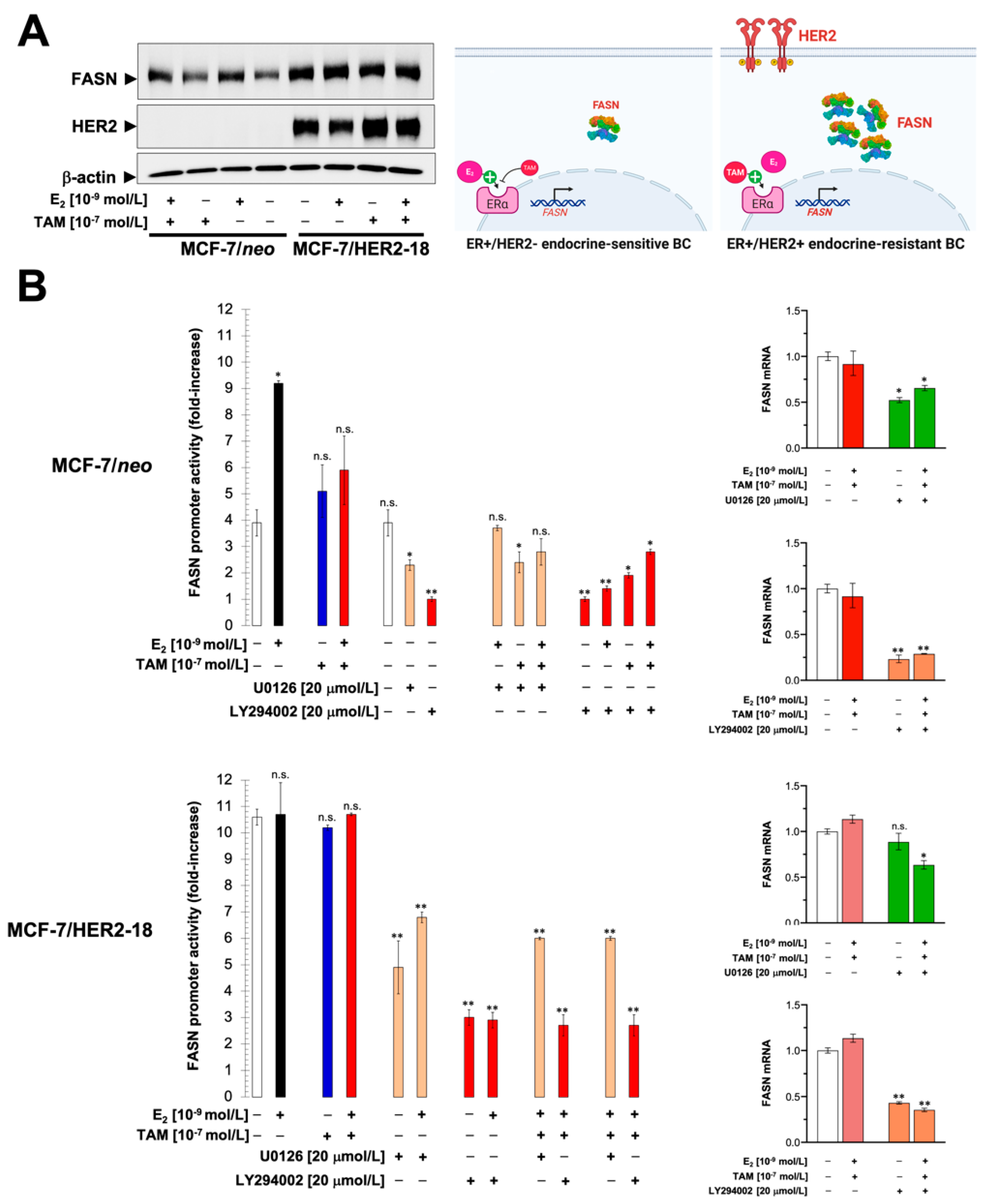 Cancers 13 01132 g002