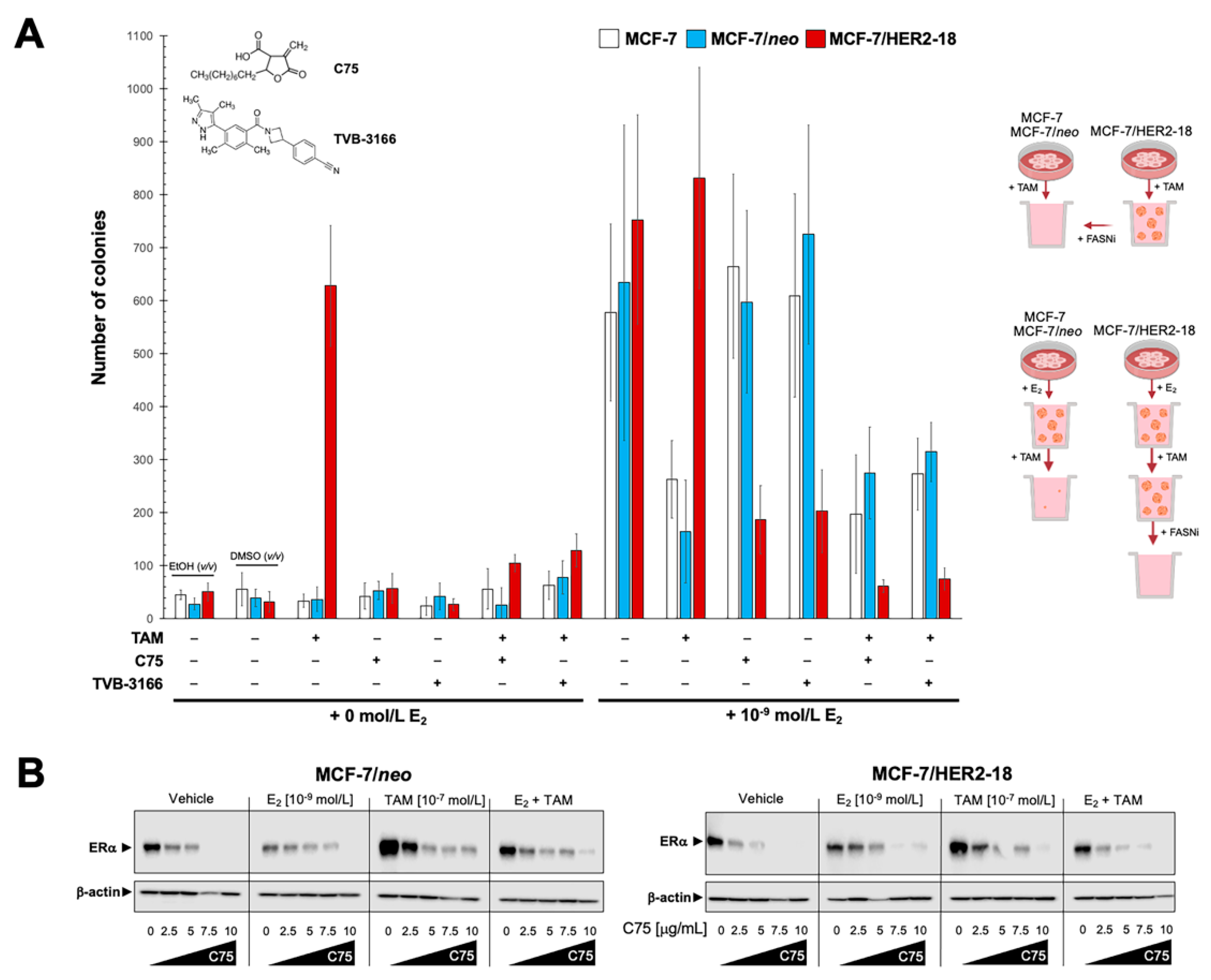 Cancers 13 01132 g003