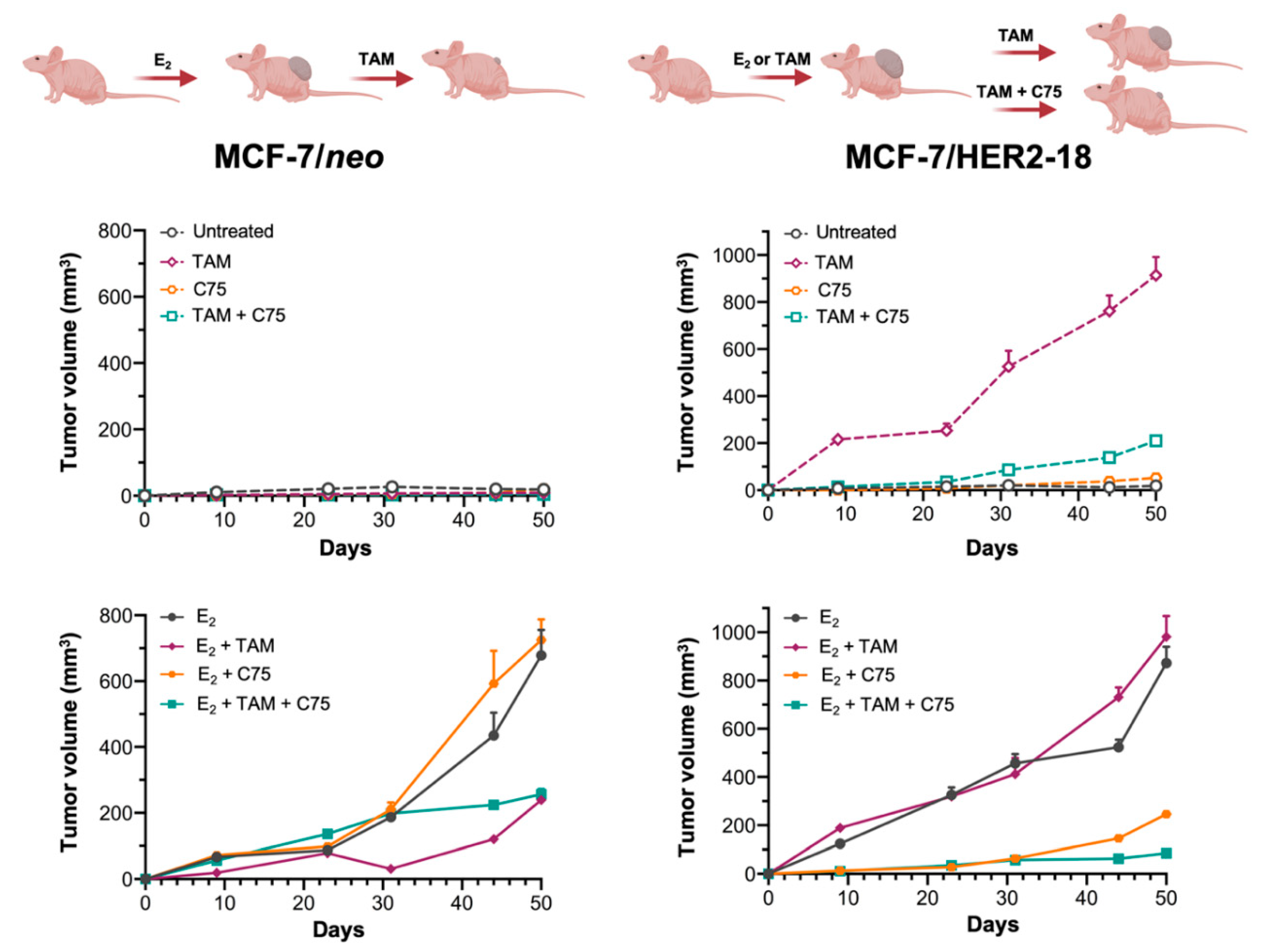 Cancers 13 01132 g004