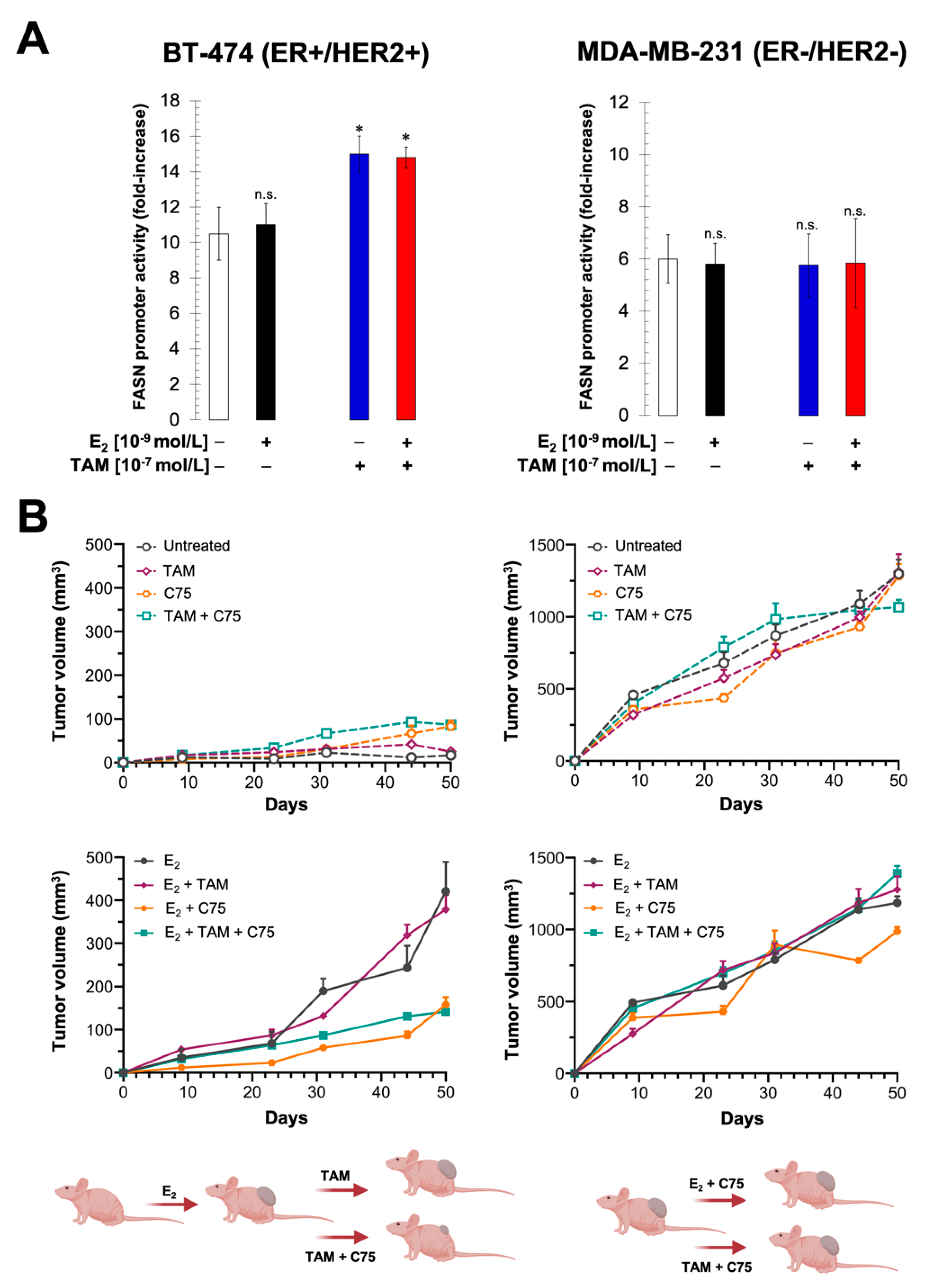 Cancers 13 01132 g006