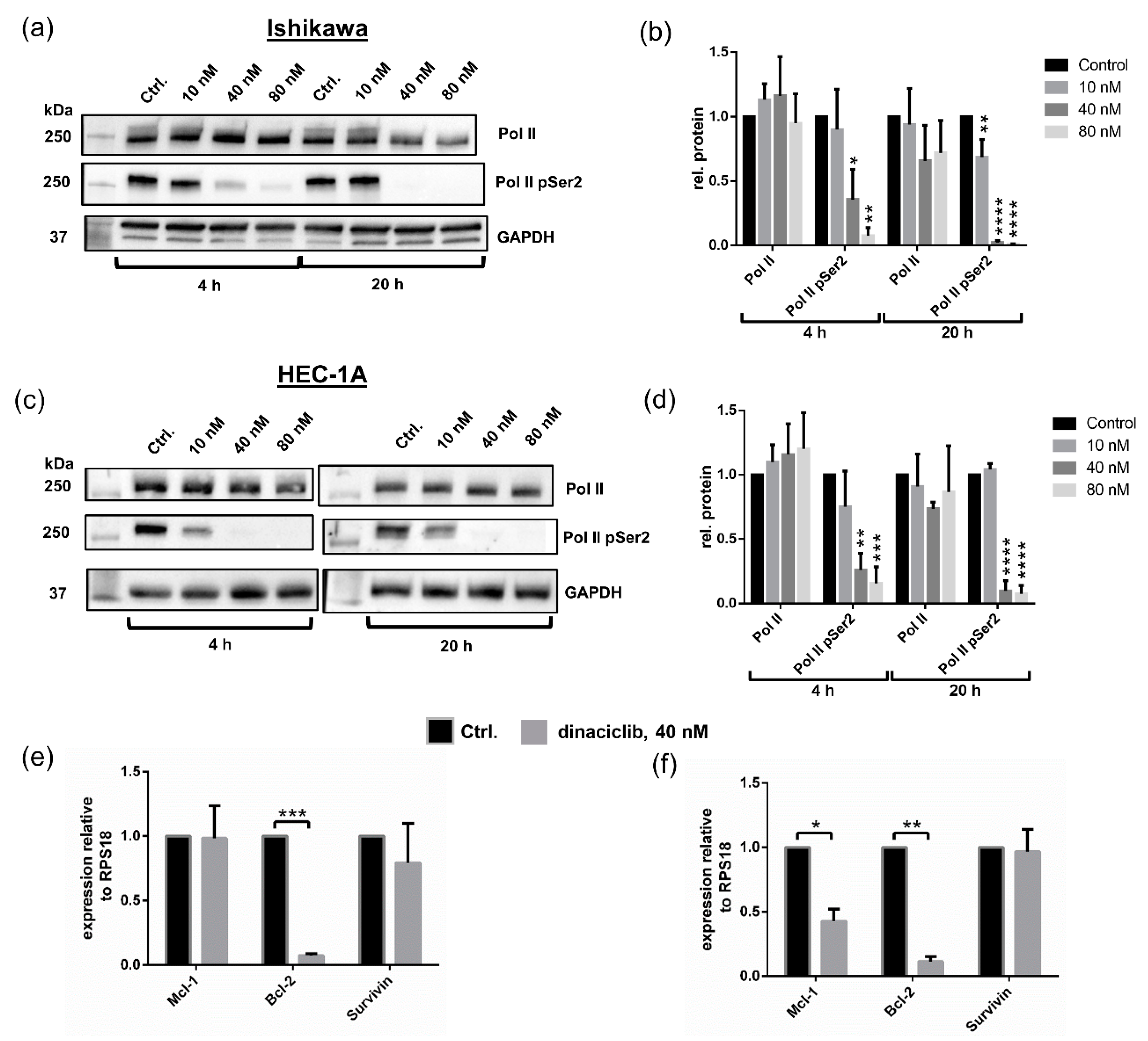 Cancers 13 01135 g005