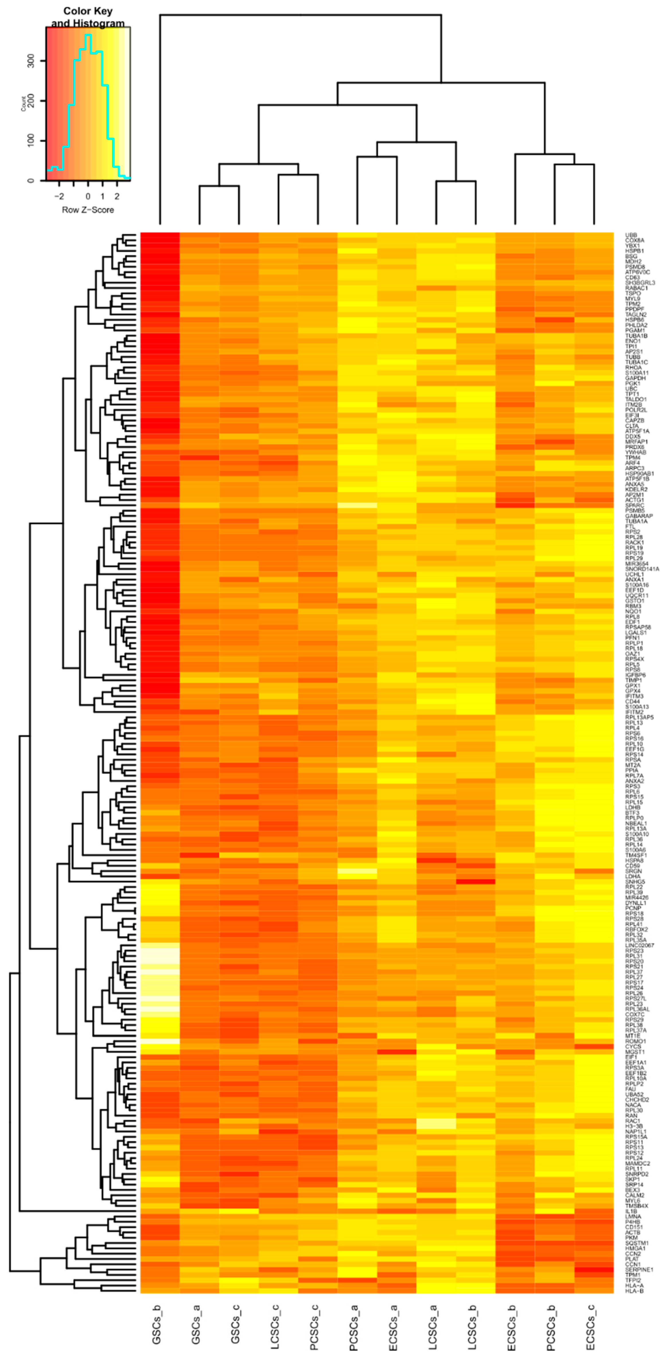 Cancers 13 01136 g005 Cancers 13 01136 g005