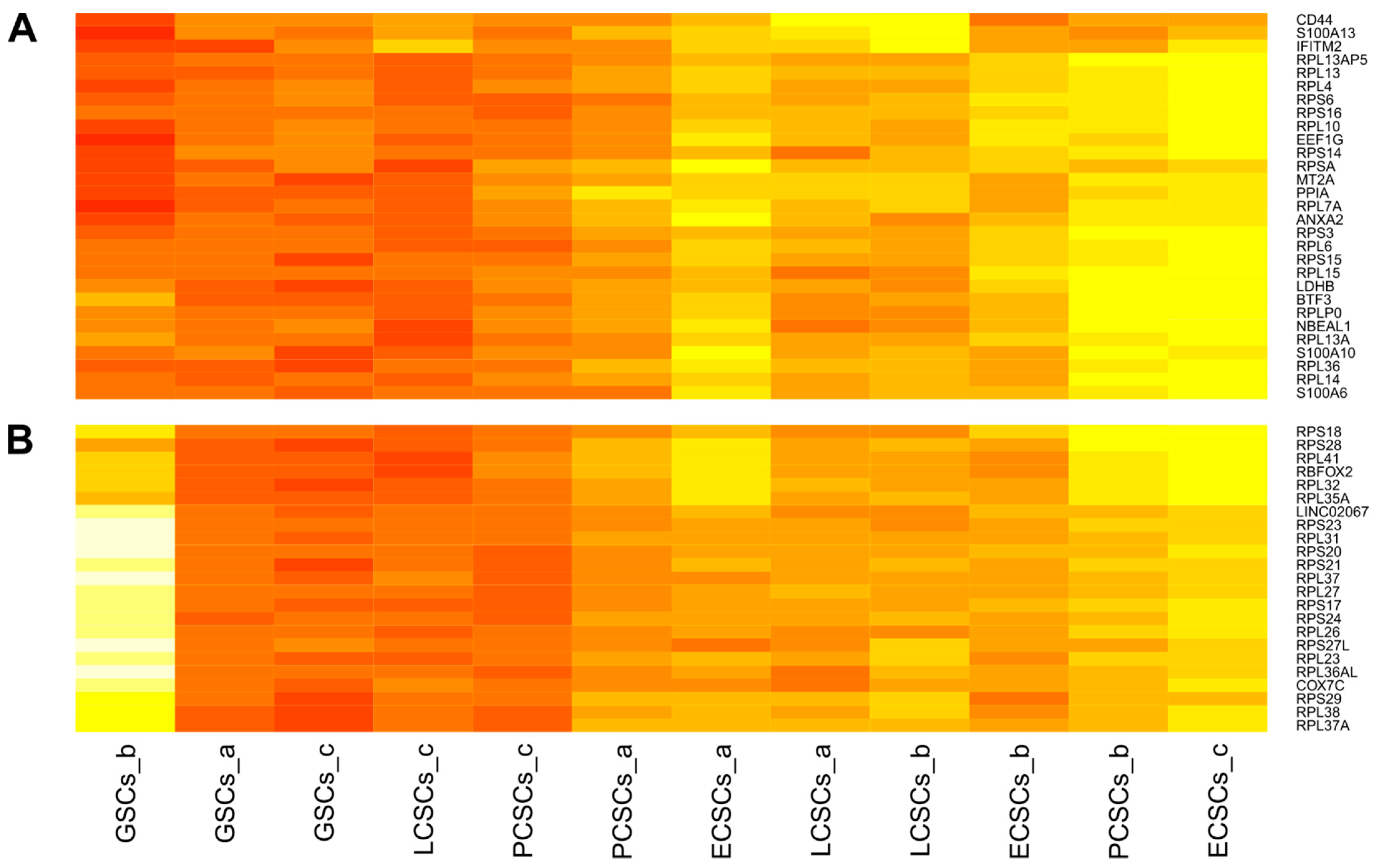 Cancers 13 01136 g006 Cancers 13 01136 g006
