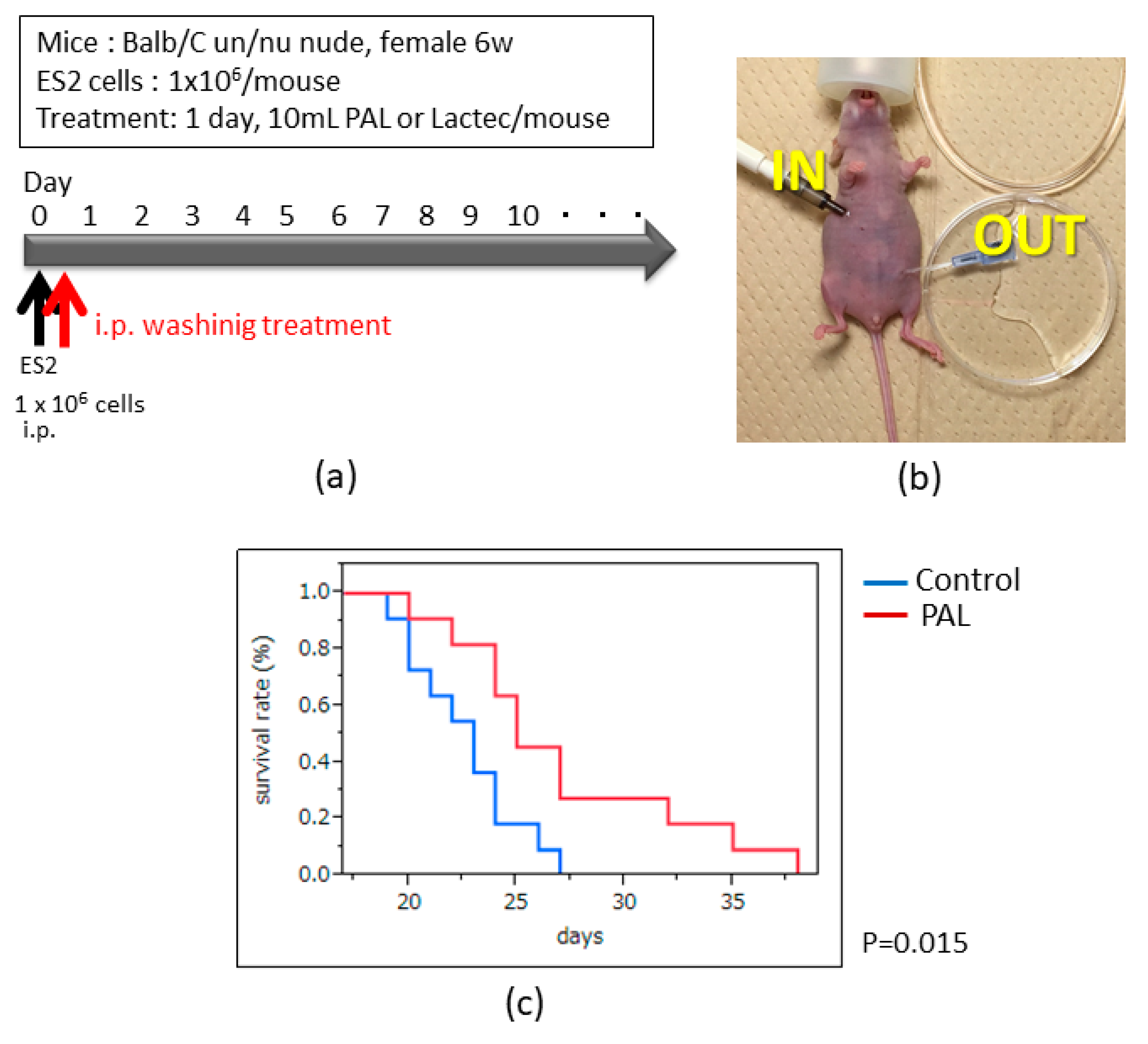 Cancers 13 01141 g005