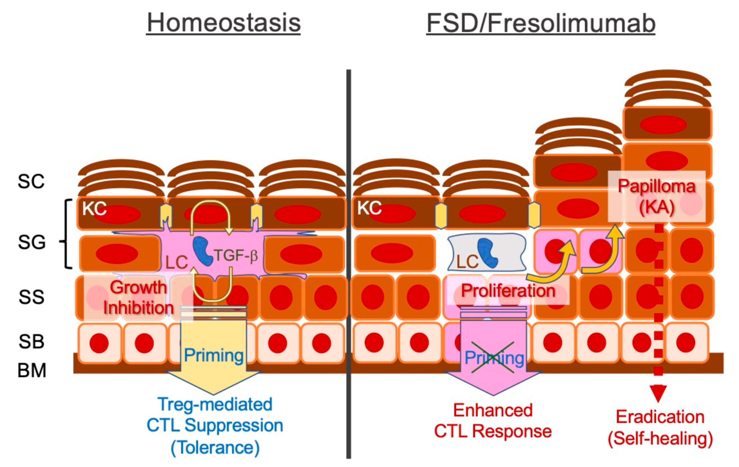 Cancers 13 01148 g001