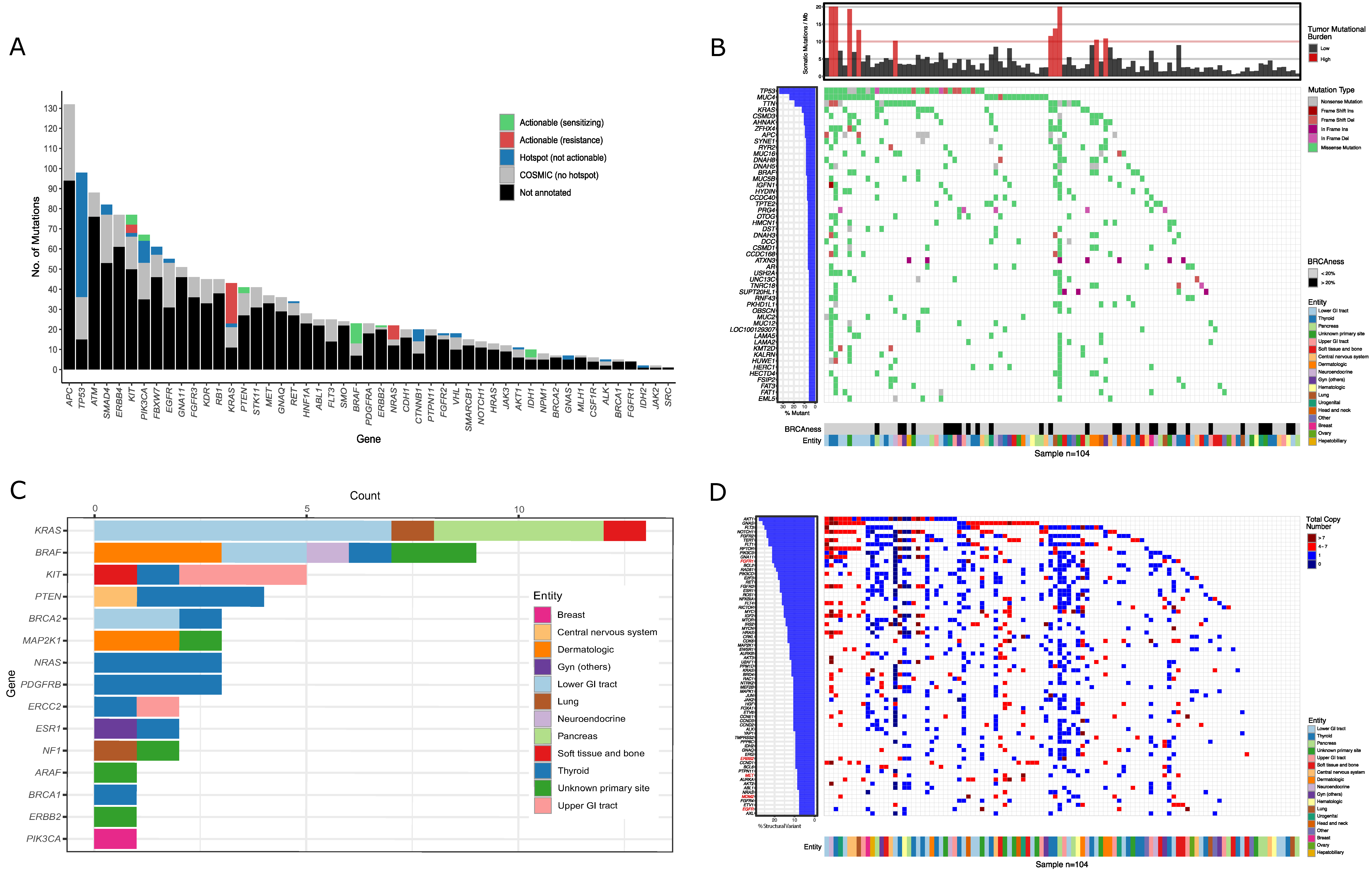 Cancers 13 01151 g001 Cancers 13 01151 g001