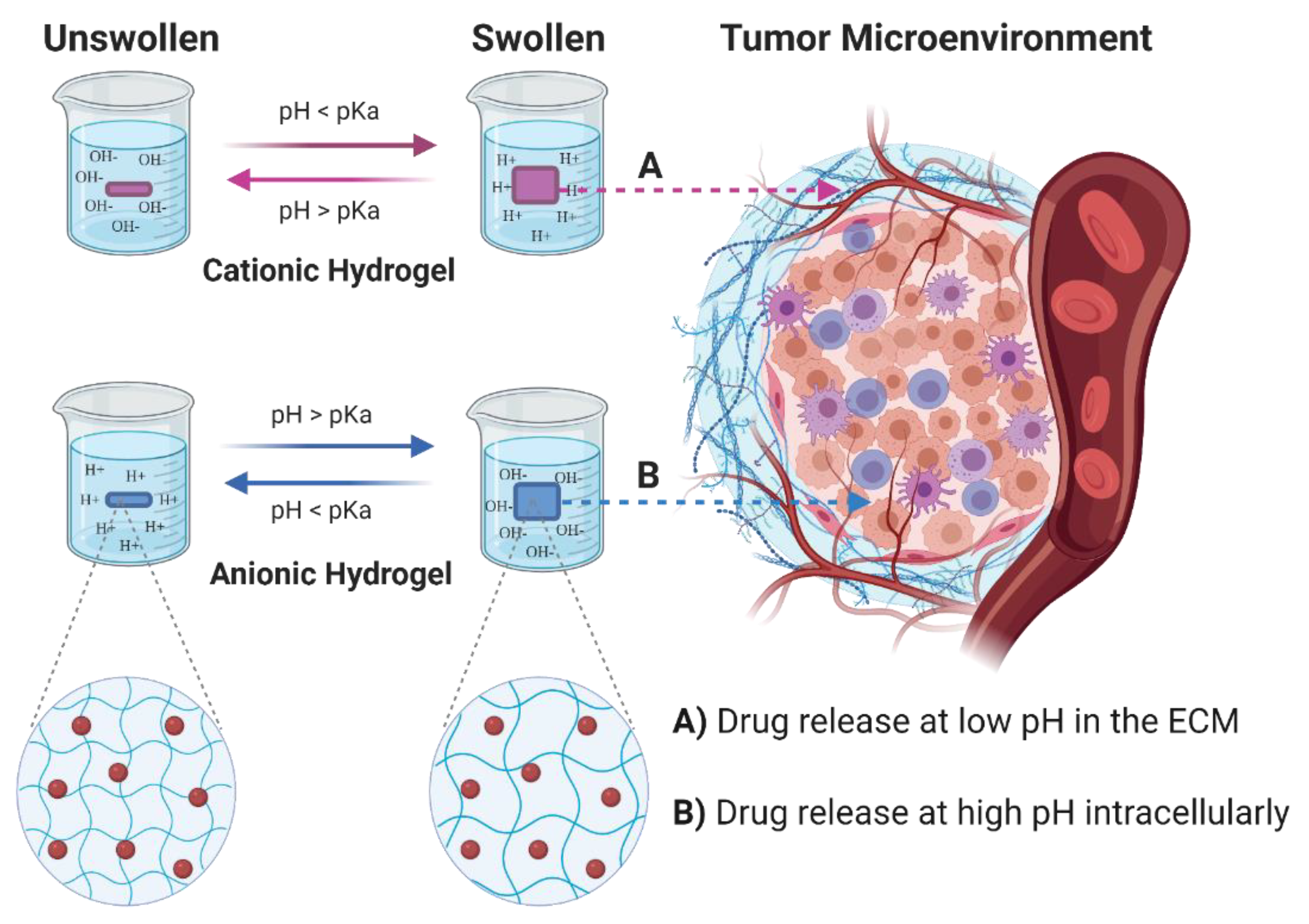 Cancers 13 01164 g002 Cancers 13 01164 g002